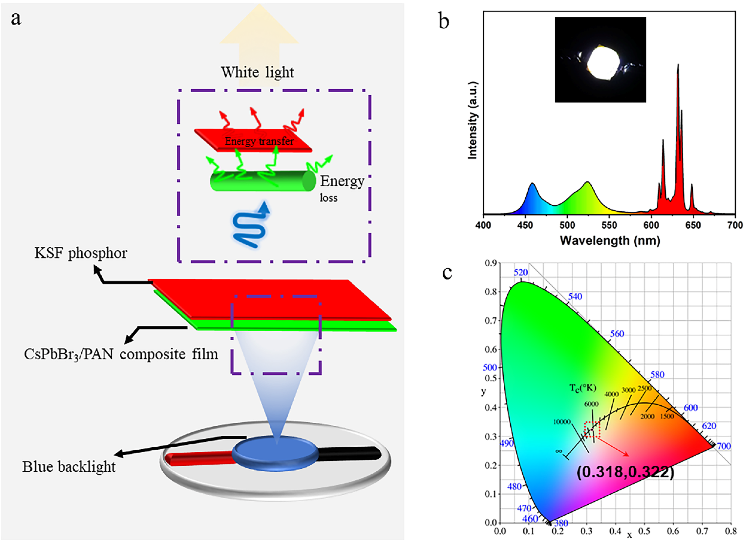 Polymers 16 01568 g008