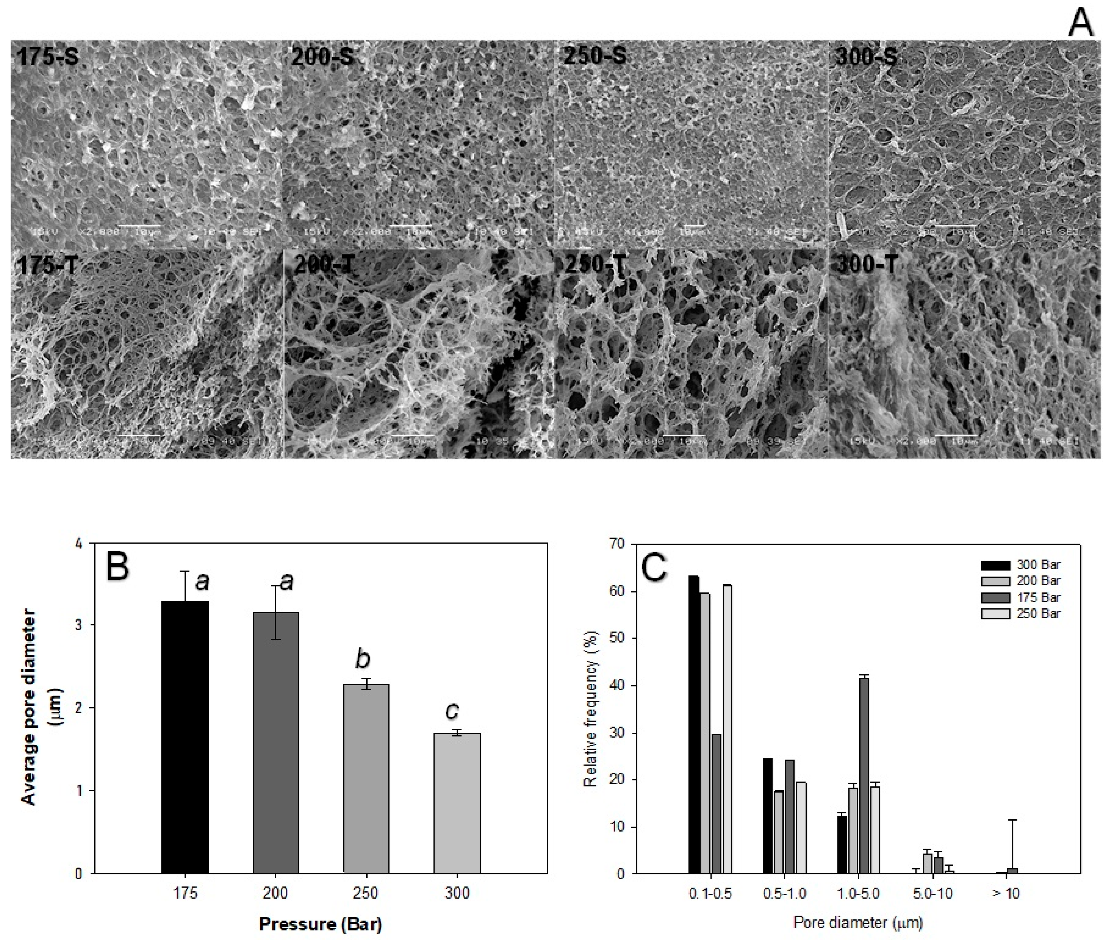 Polymers 16 01569 g005