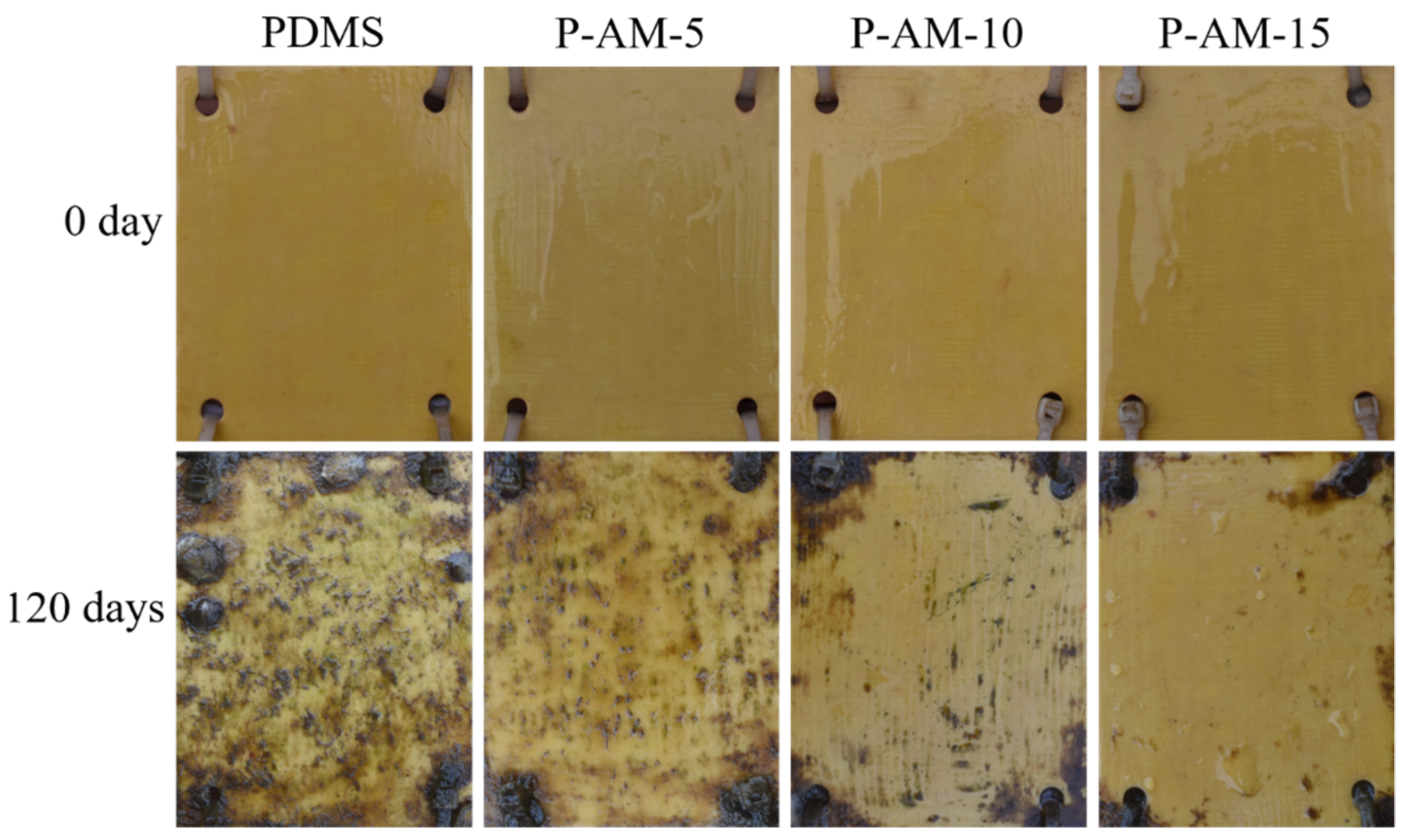 Polymers 16 01570 g004