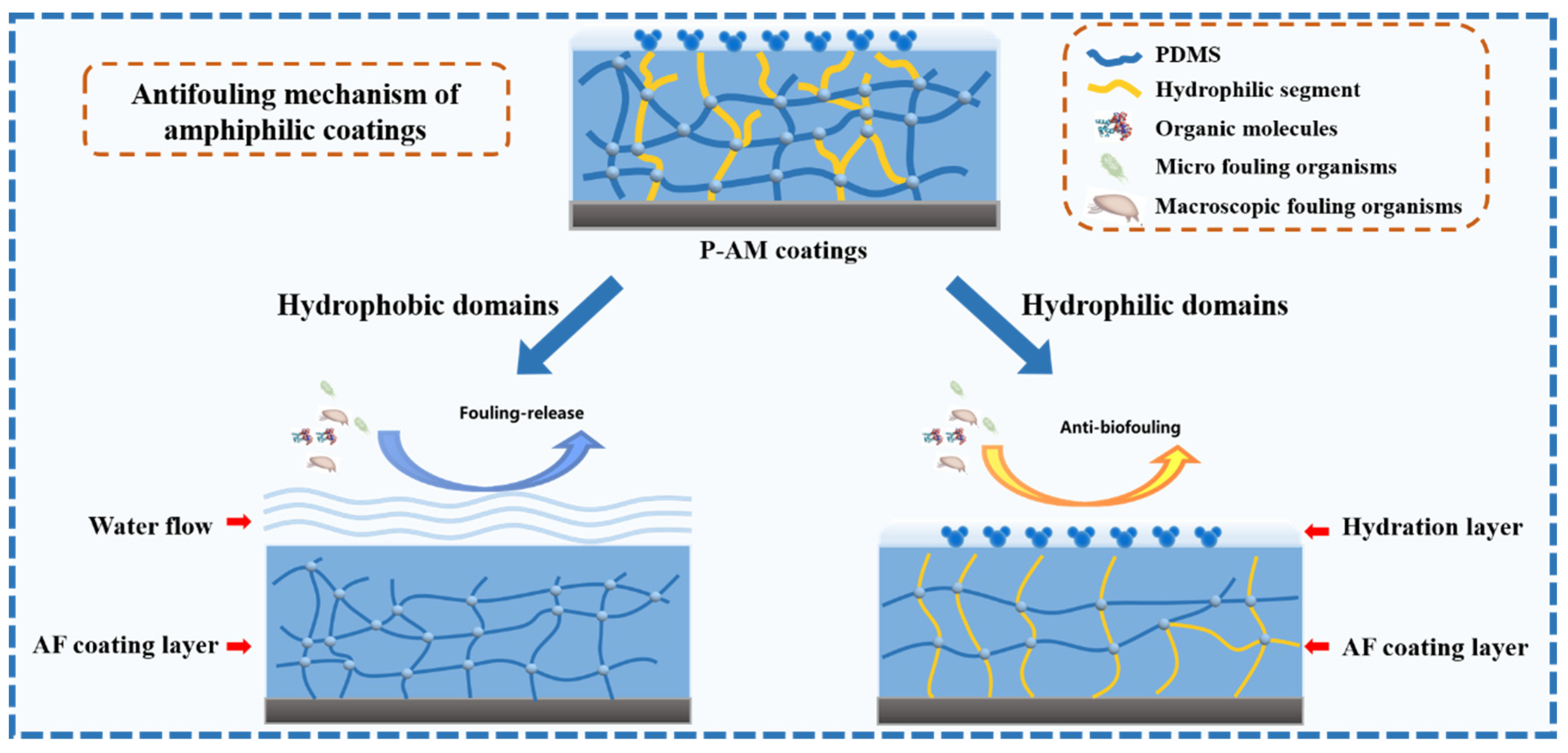 Polymers 16 01570 g005