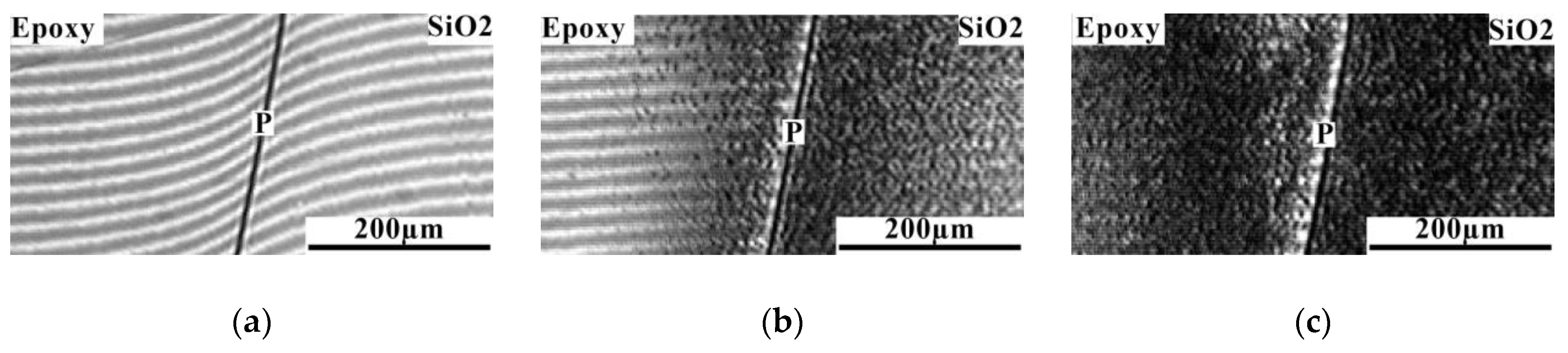 Polymers 16 01571 g009