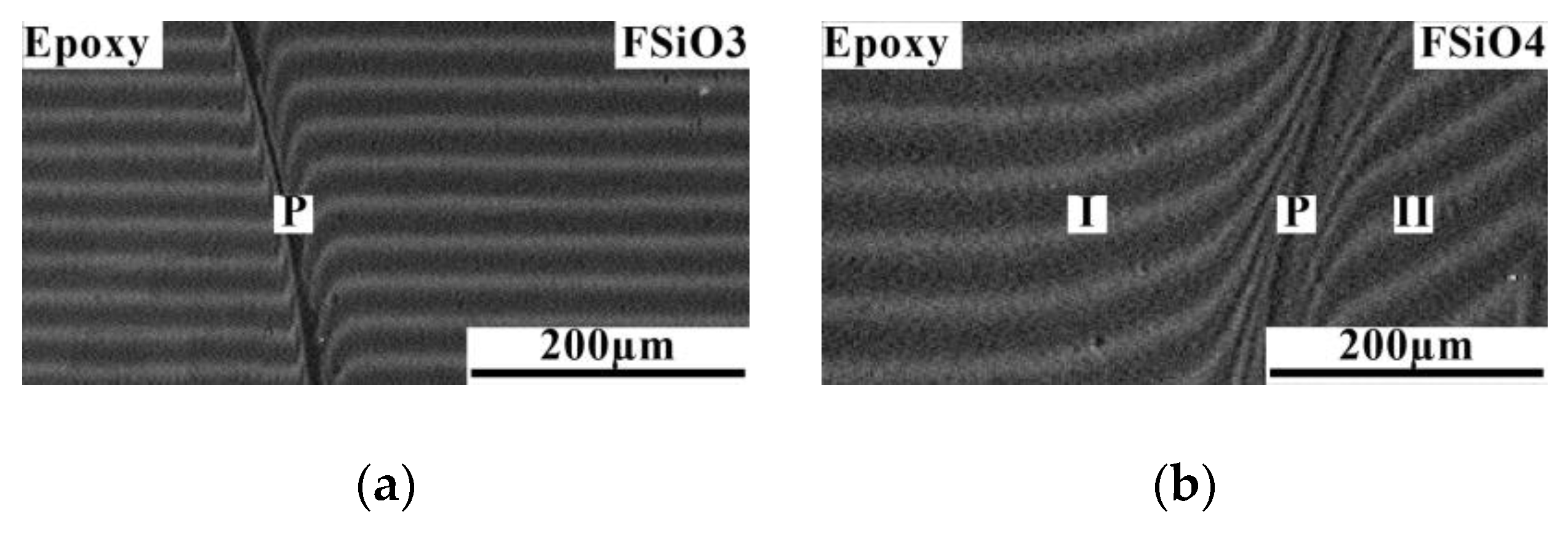 Polymers 16 01571 g012