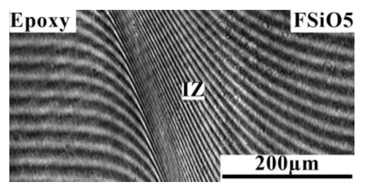 Polymers 16 01571 g014