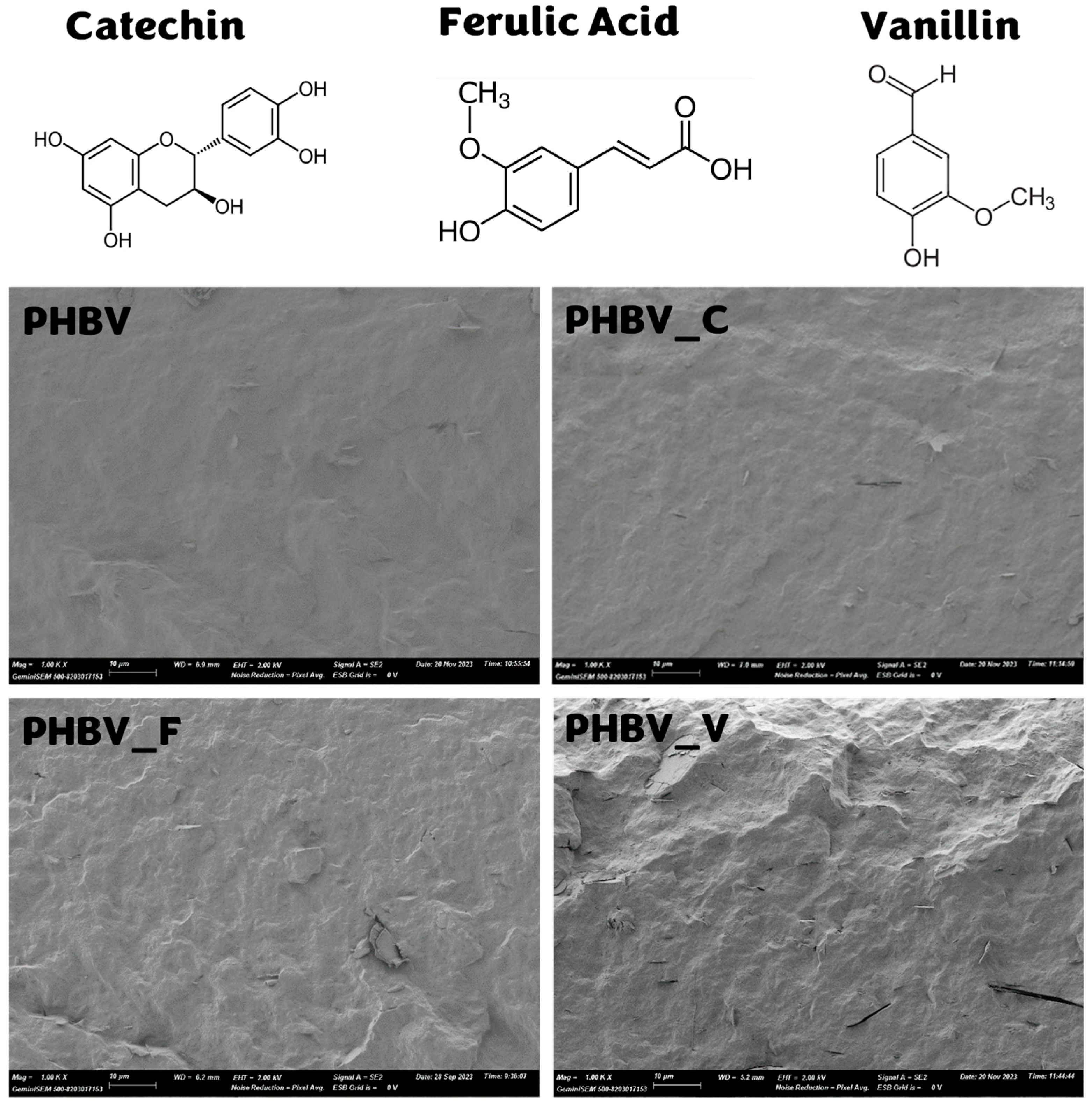 Polymers 16 01574 g001