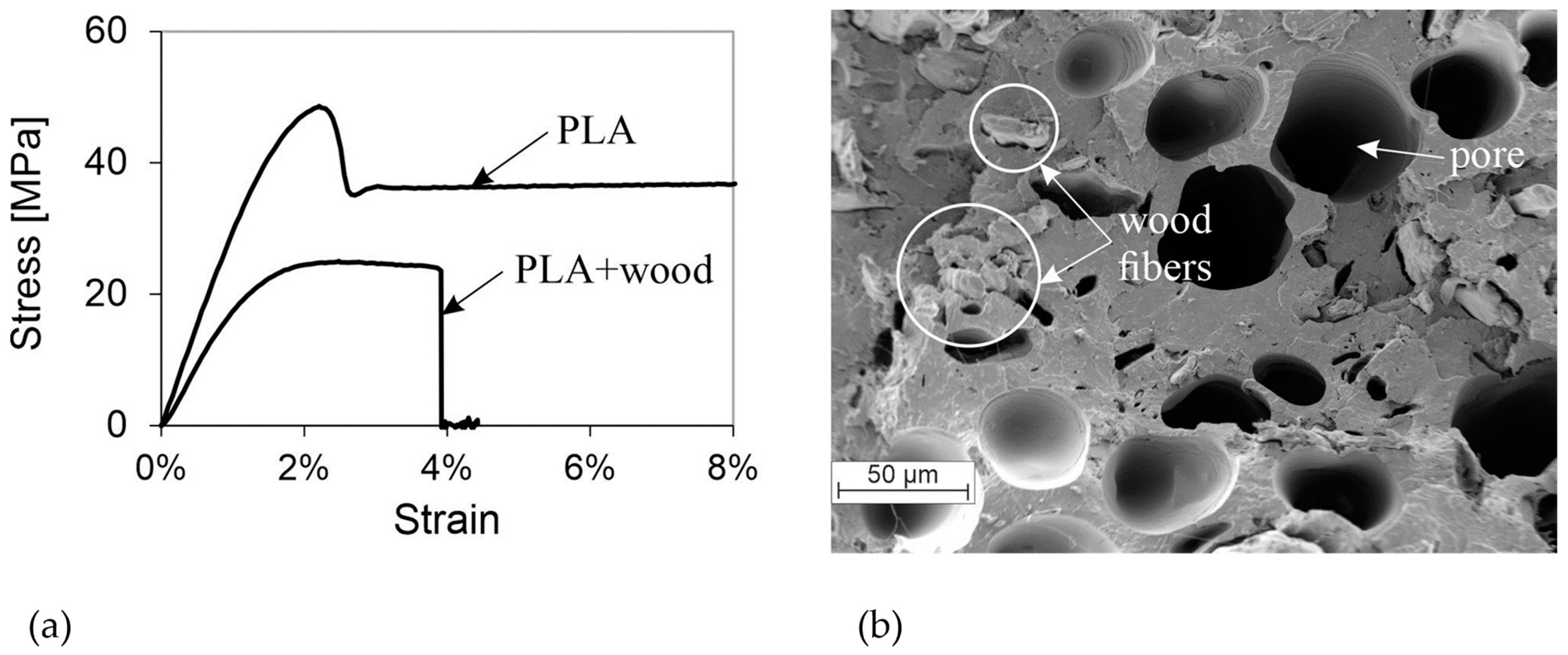 Polymers 16 01576 g006