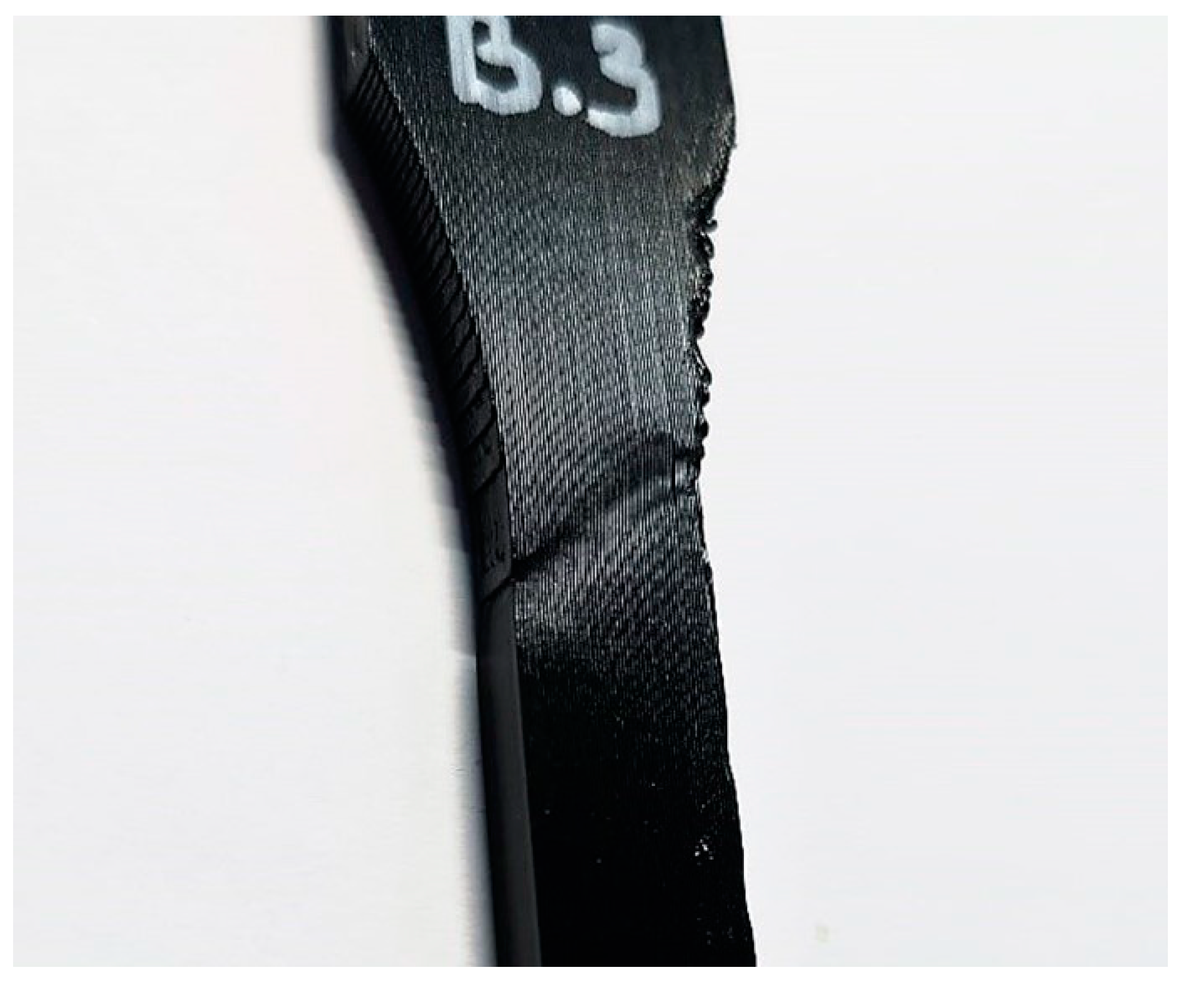 Polymers 16 01576 g010