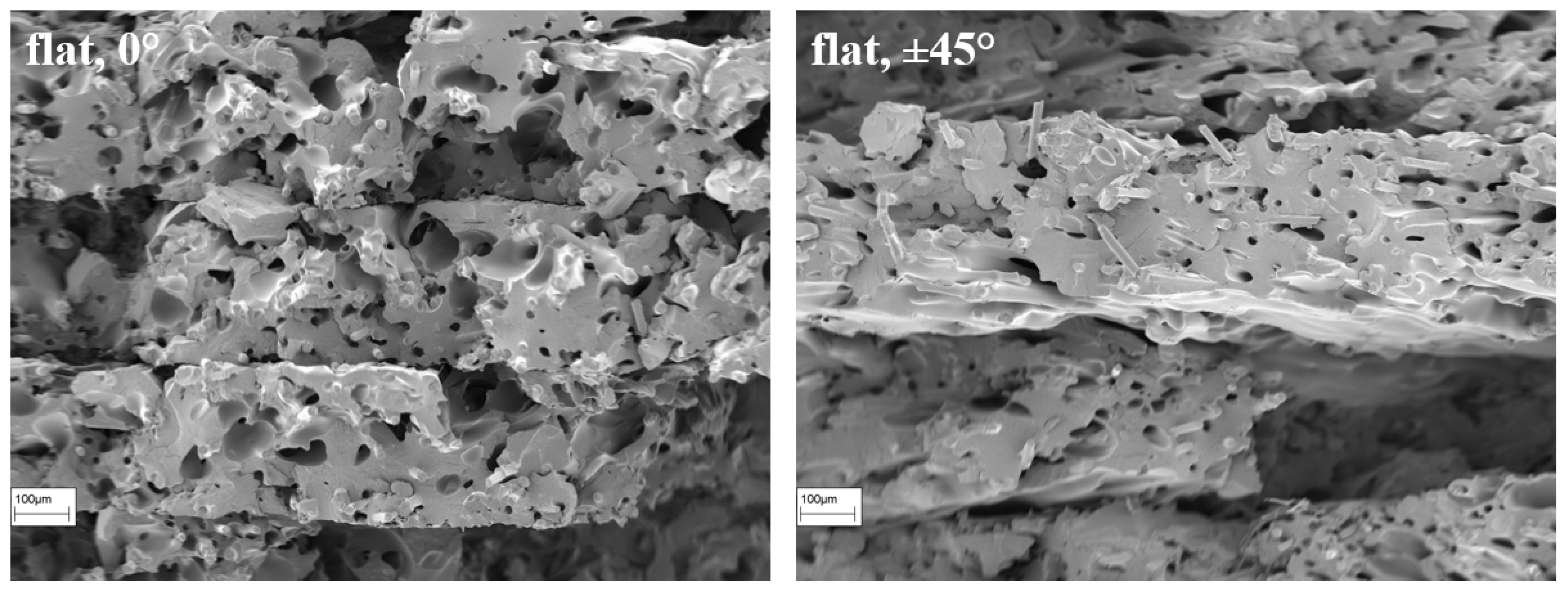 Polymers 16 01576 g022