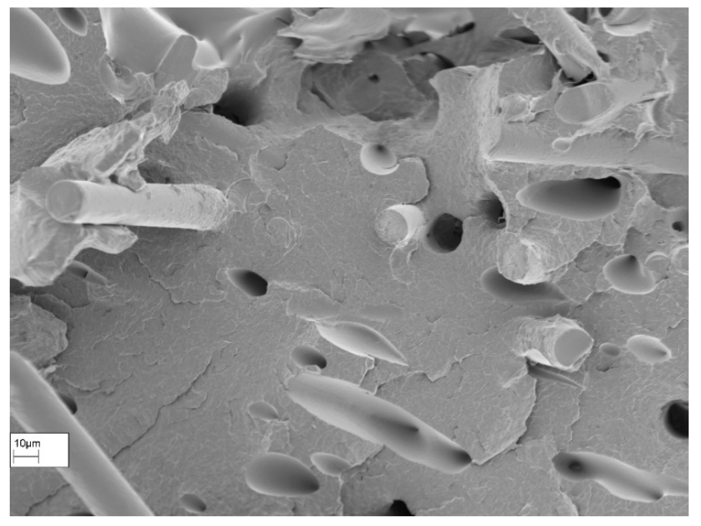 Polymers 16 01576 g023