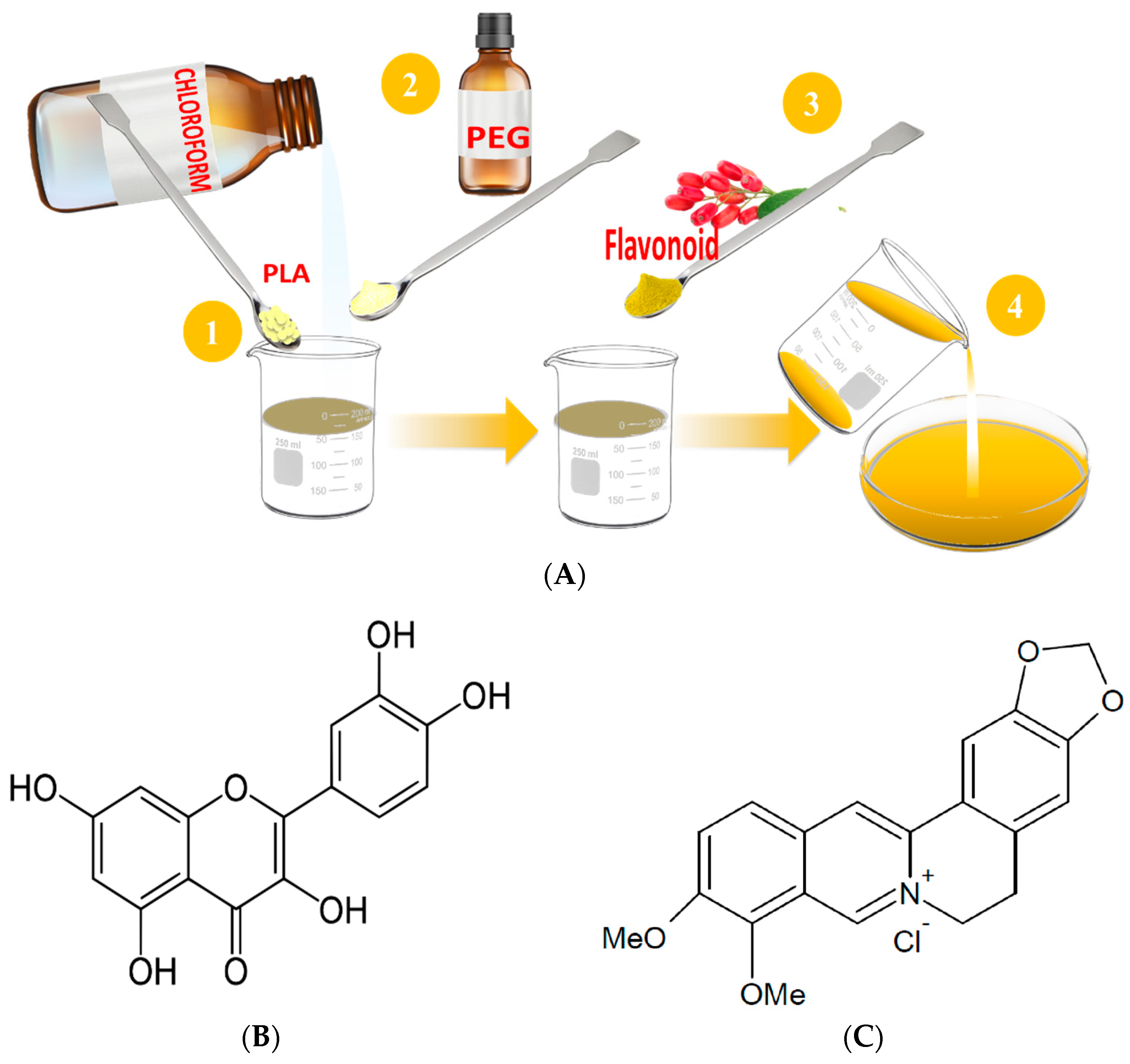 Polymers 16 01577 g001