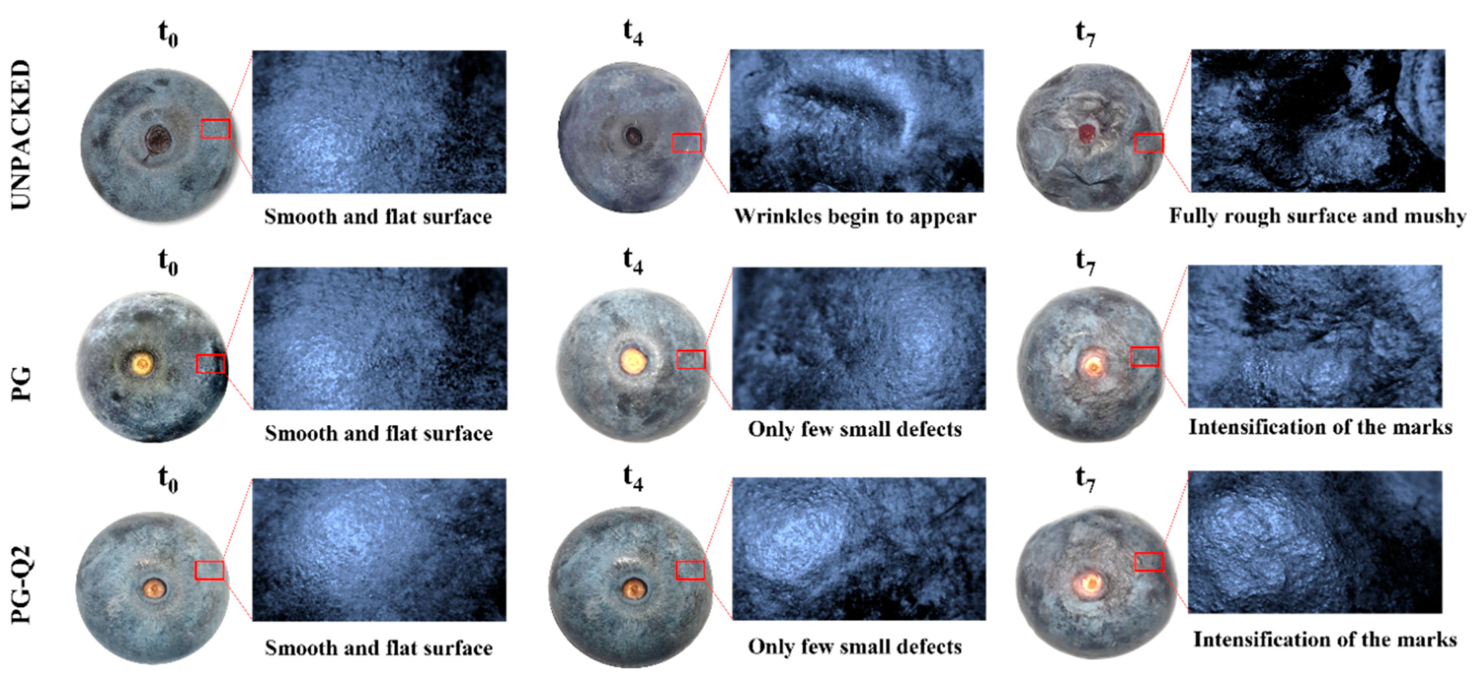 Polymers 16 01577 g007