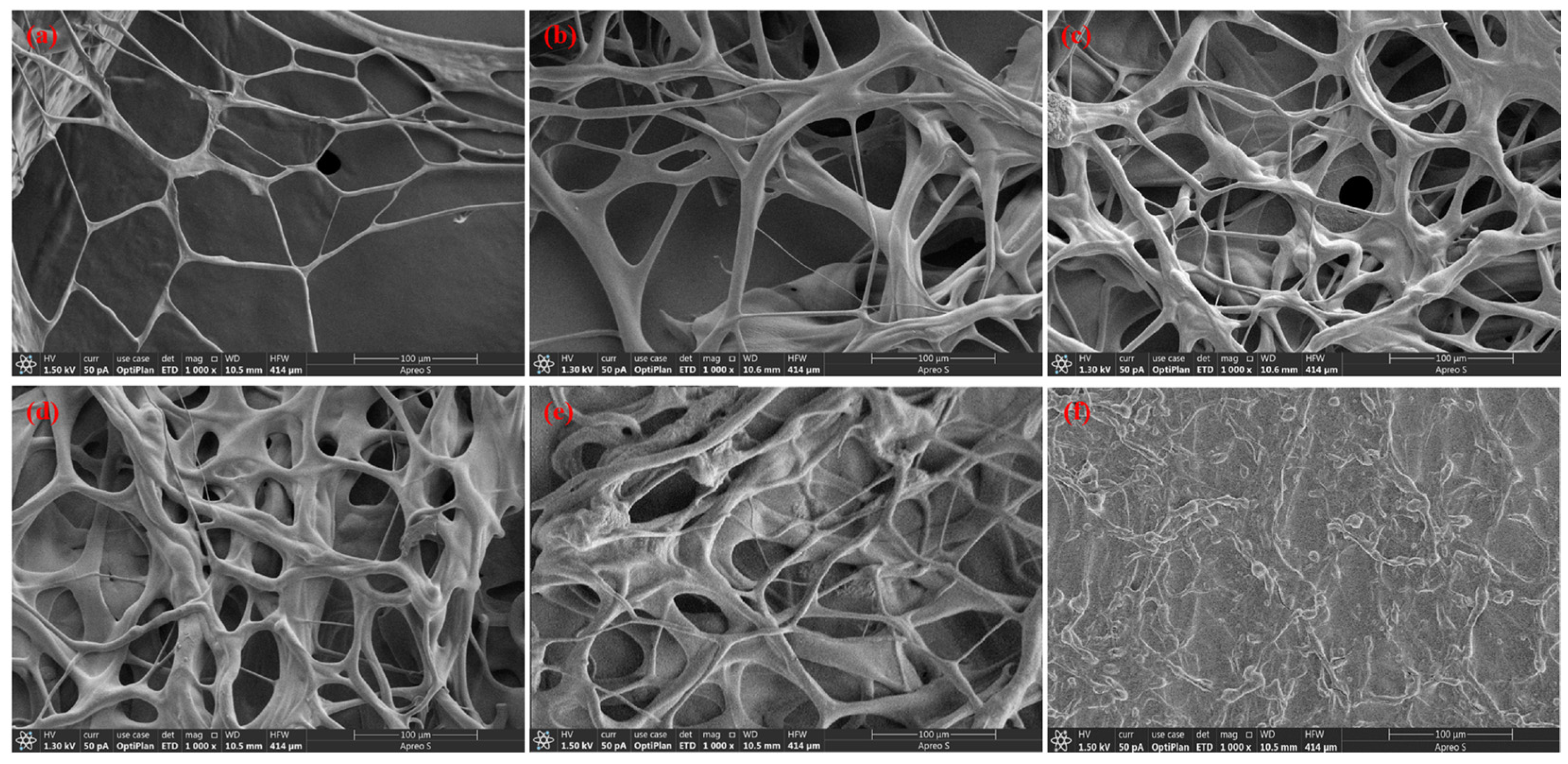 Polymers 16 01585 g005