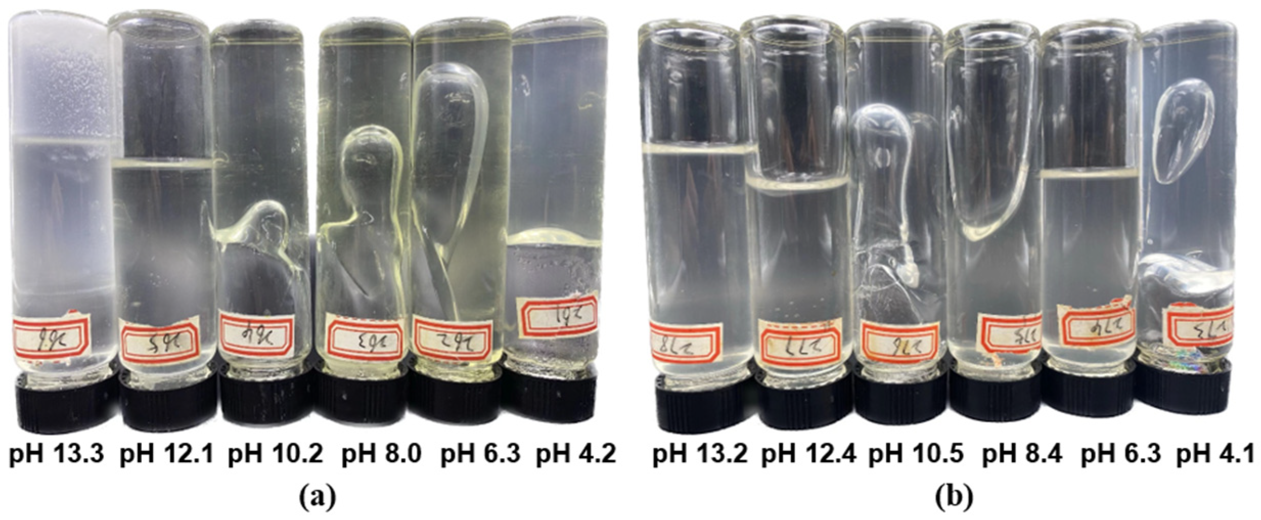 Polymers 16 01585 g012