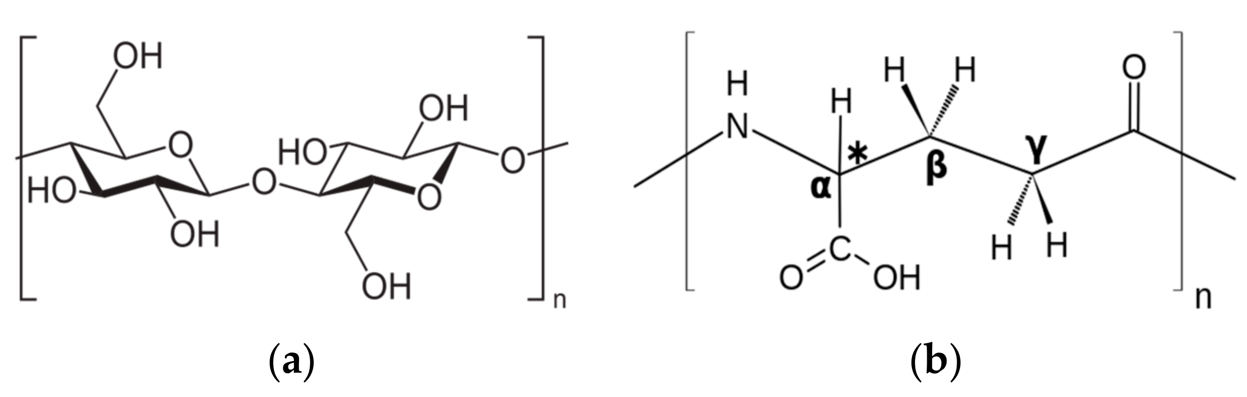 Polymers 16 01586 g001