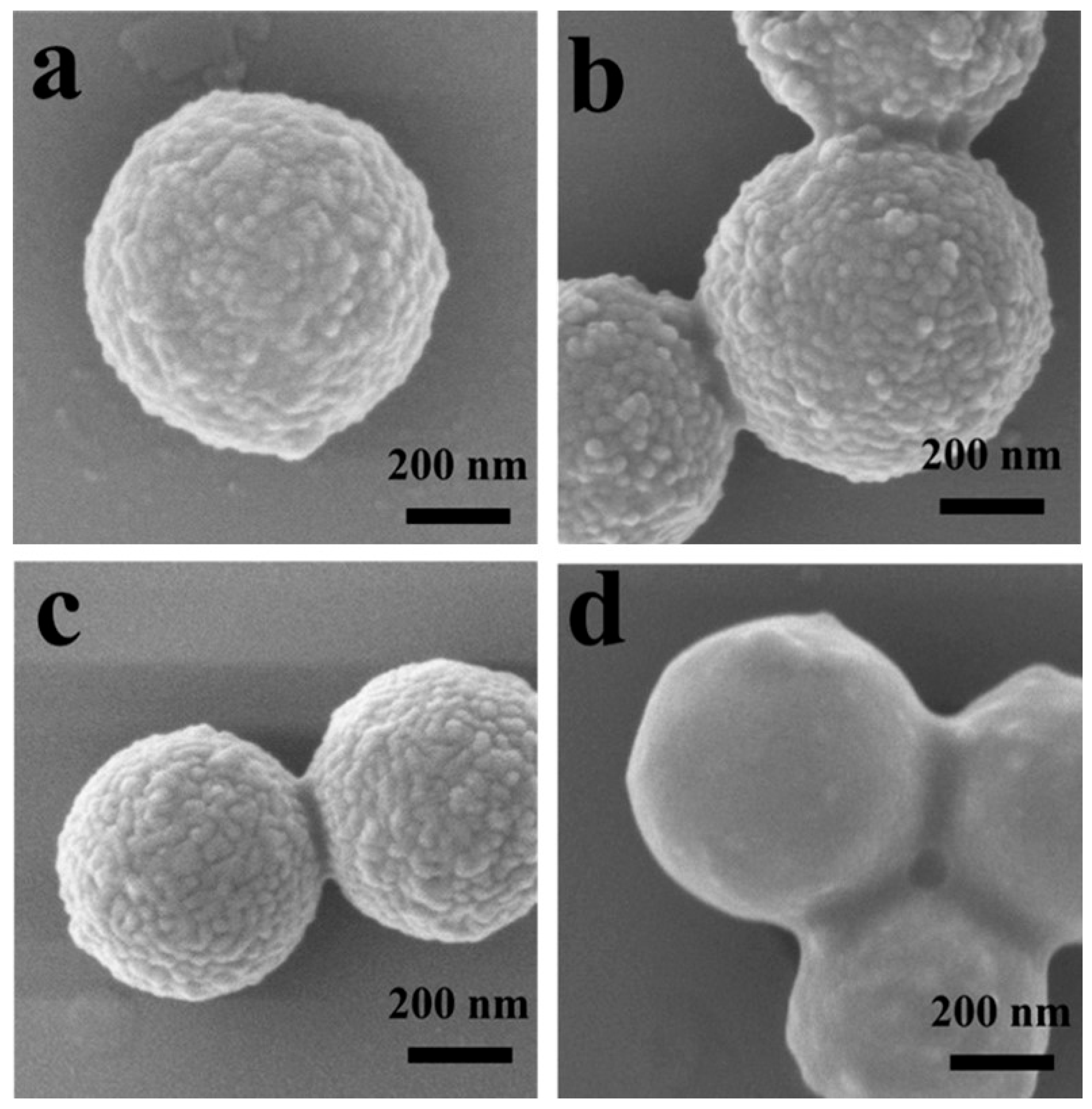 Polymers 16 01587 g002