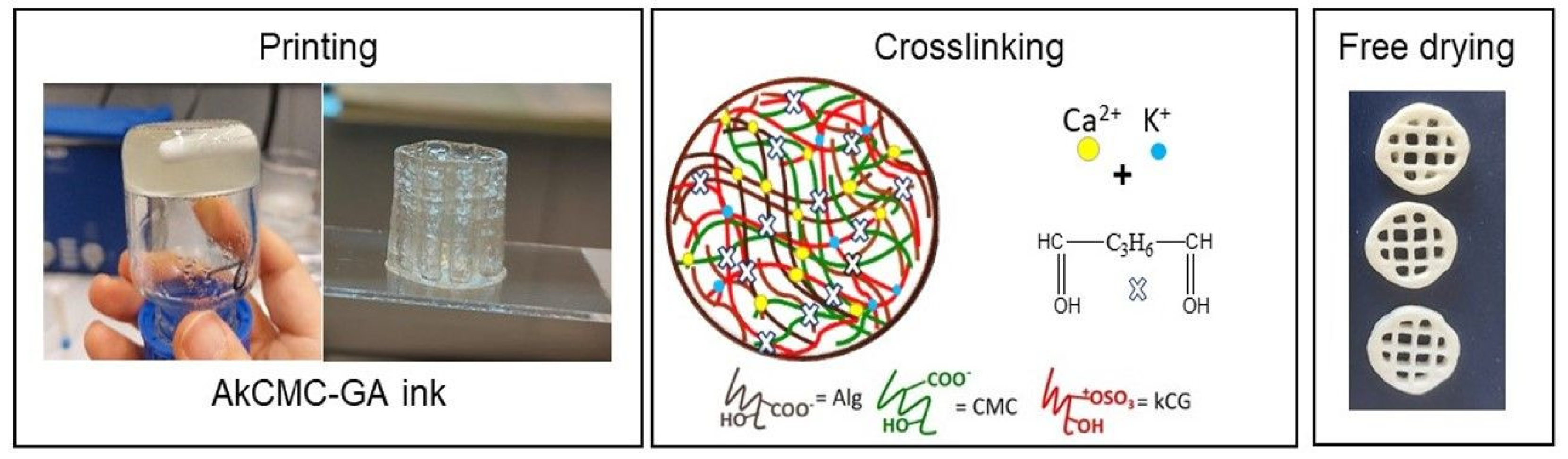 Polymers 16 01592 g001
