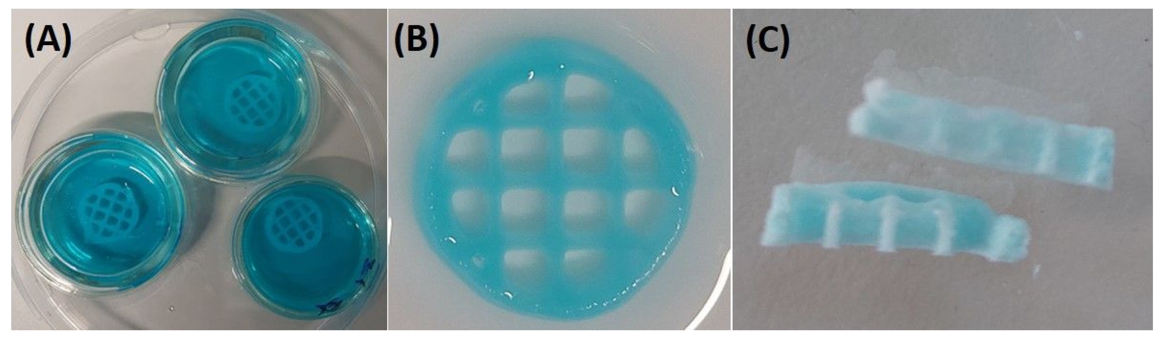 Polymers 16 01592 g003