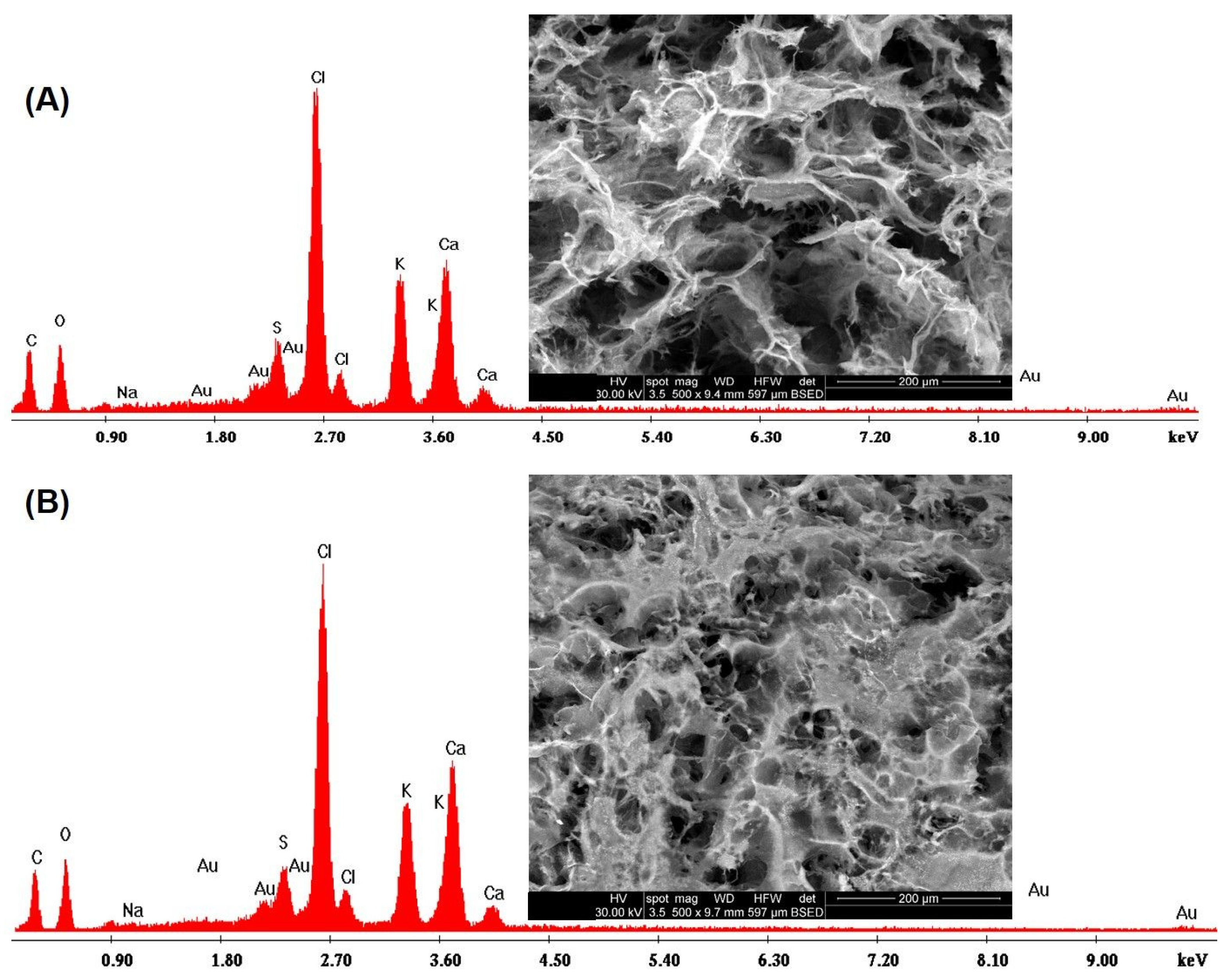 Polymers 16 01592 g006