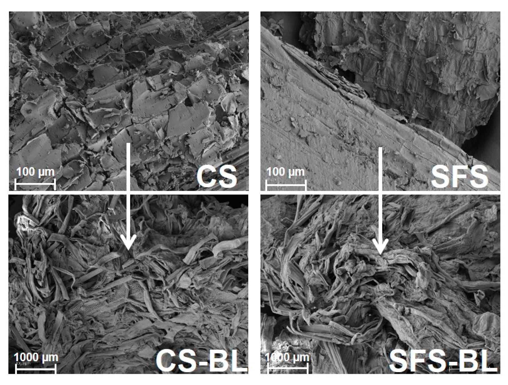 Polymers 16 01594 g003
