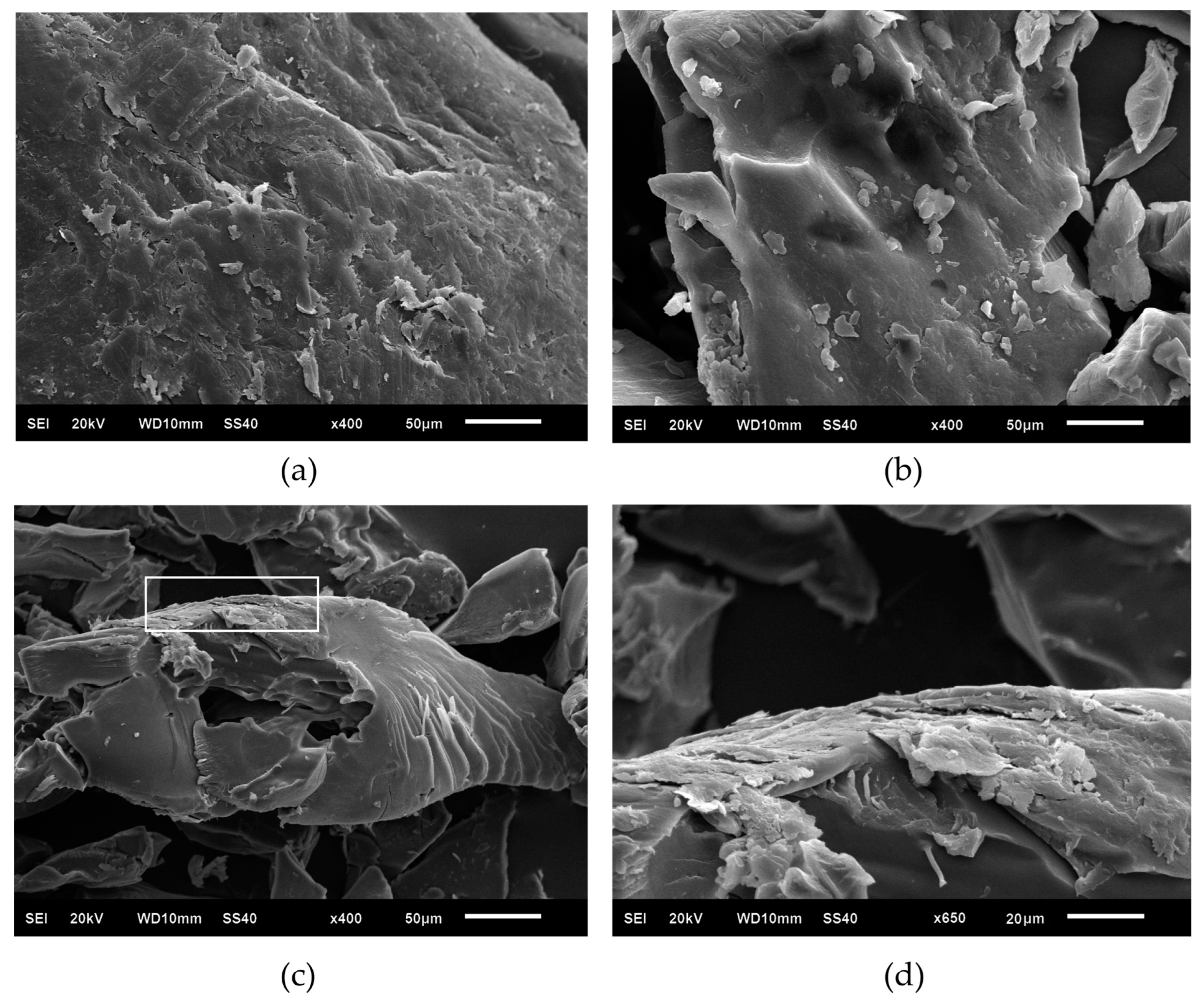 Polymers 16 01596 g004