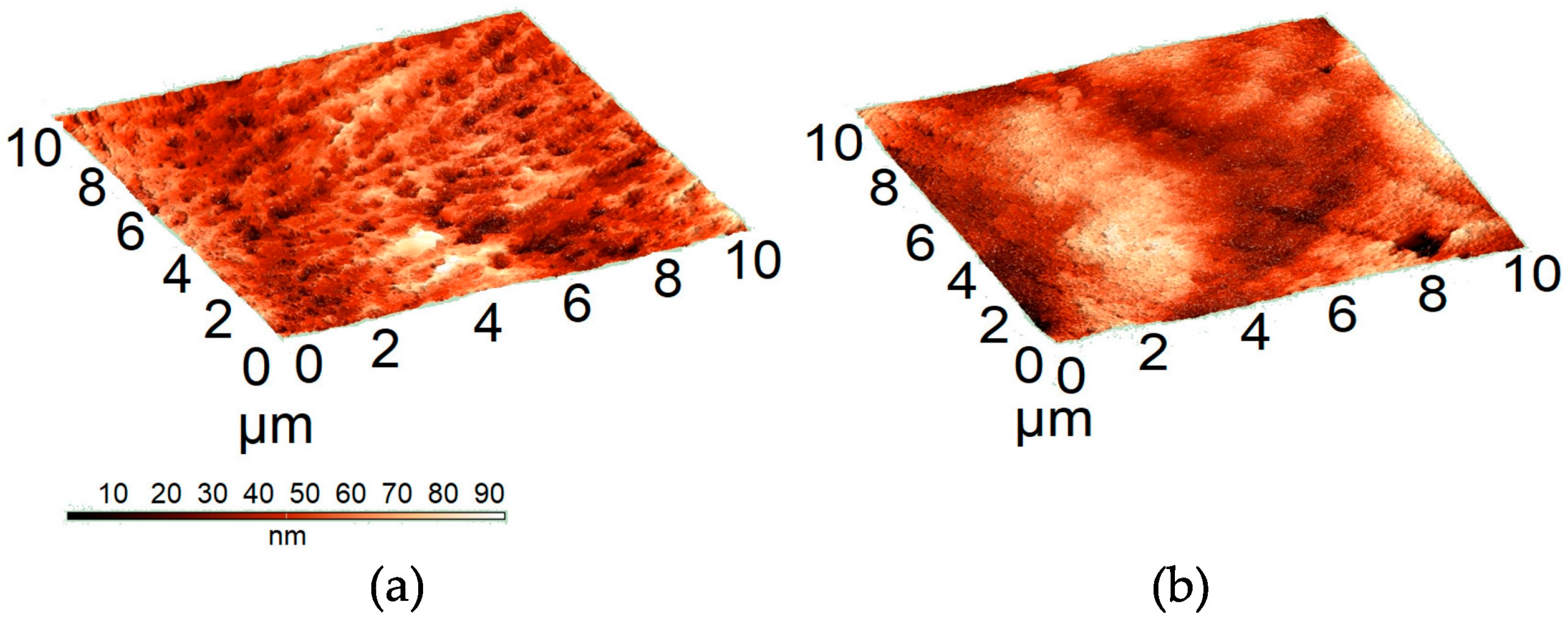 Polymers 16 01596 g005