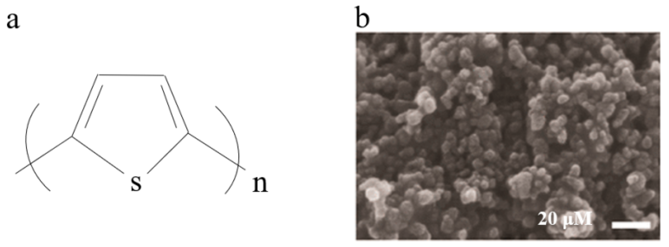 Polymers 16 01597 g005