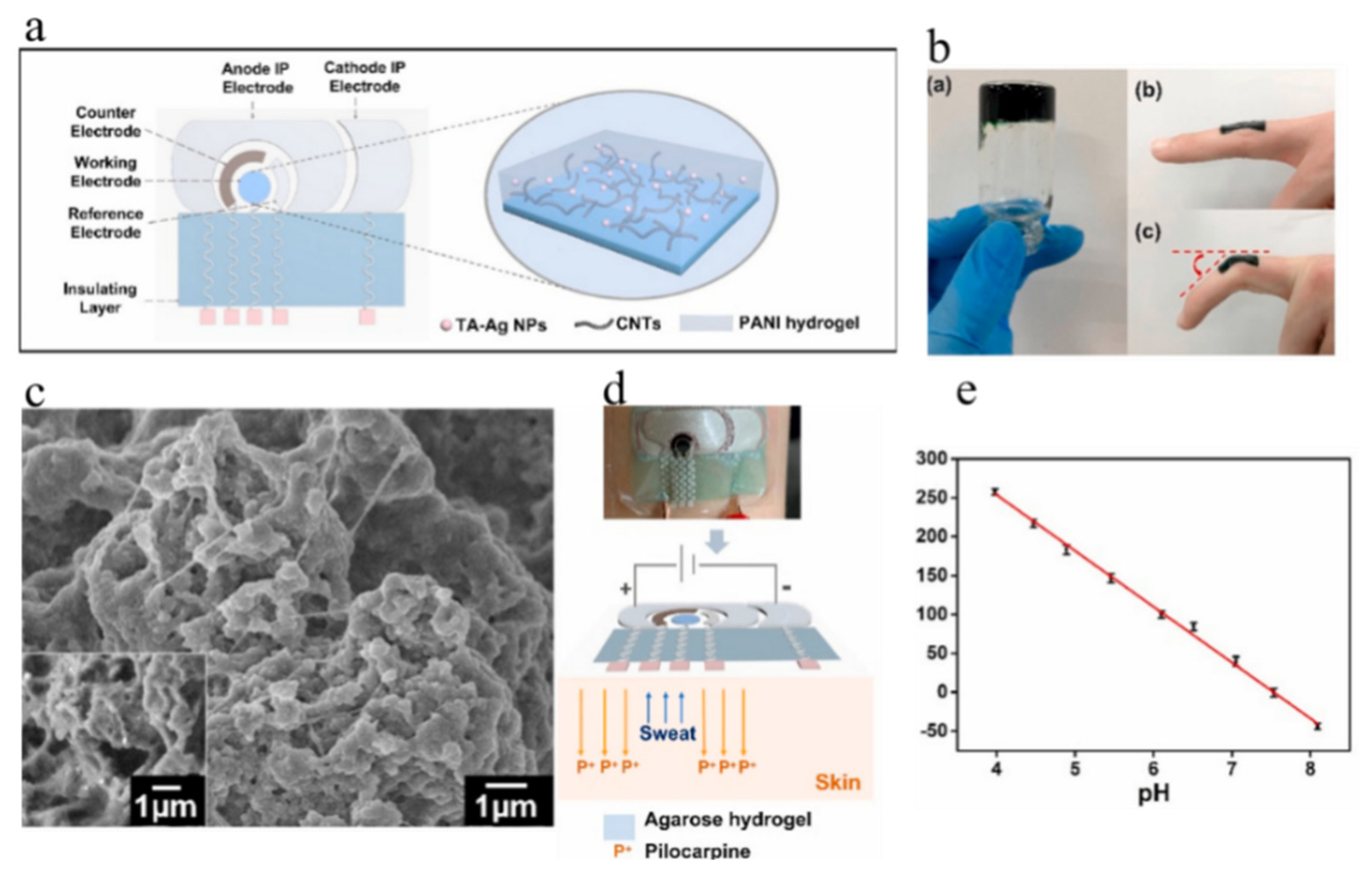 Polymers 16 01597 g008