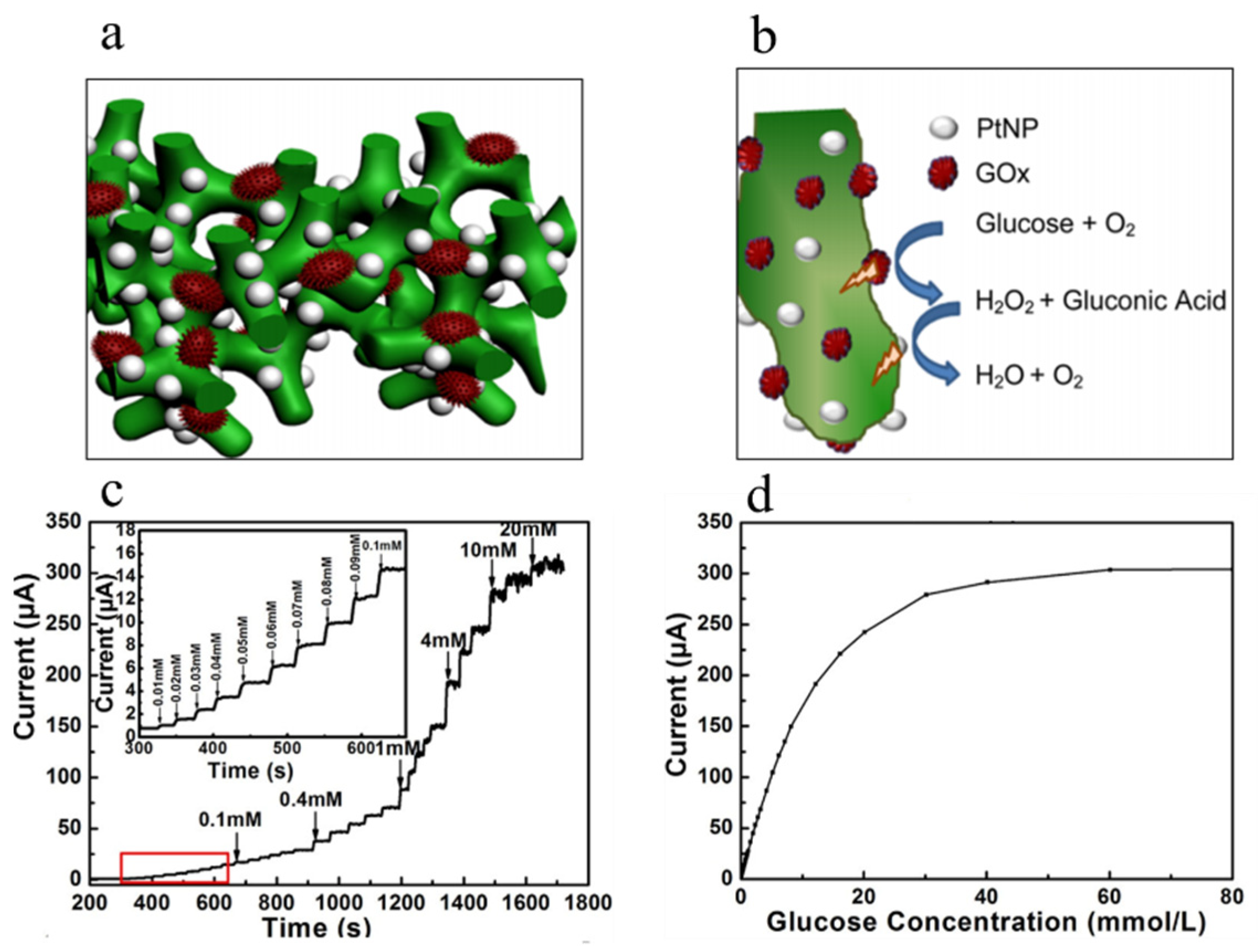 Polymers 16 01597 g009