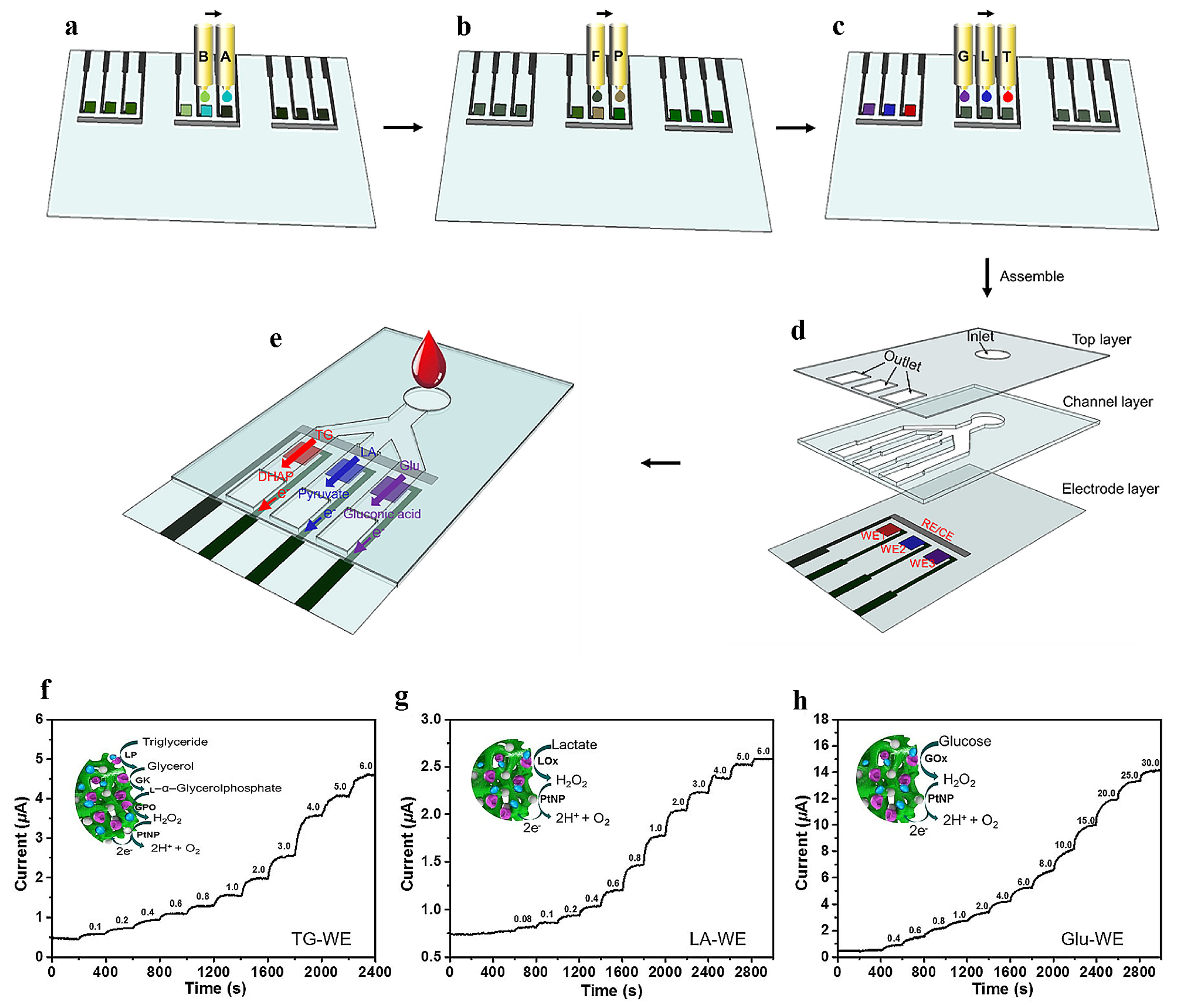 Polymers 16 01597 g010