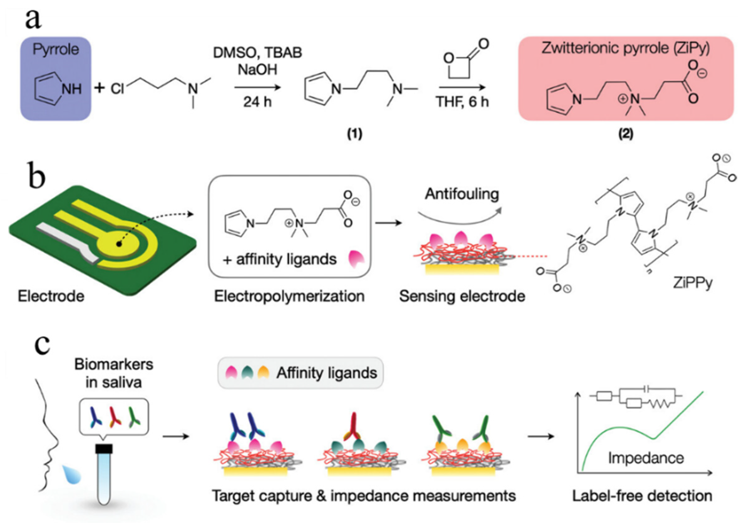 Polymers 16 01597 g013