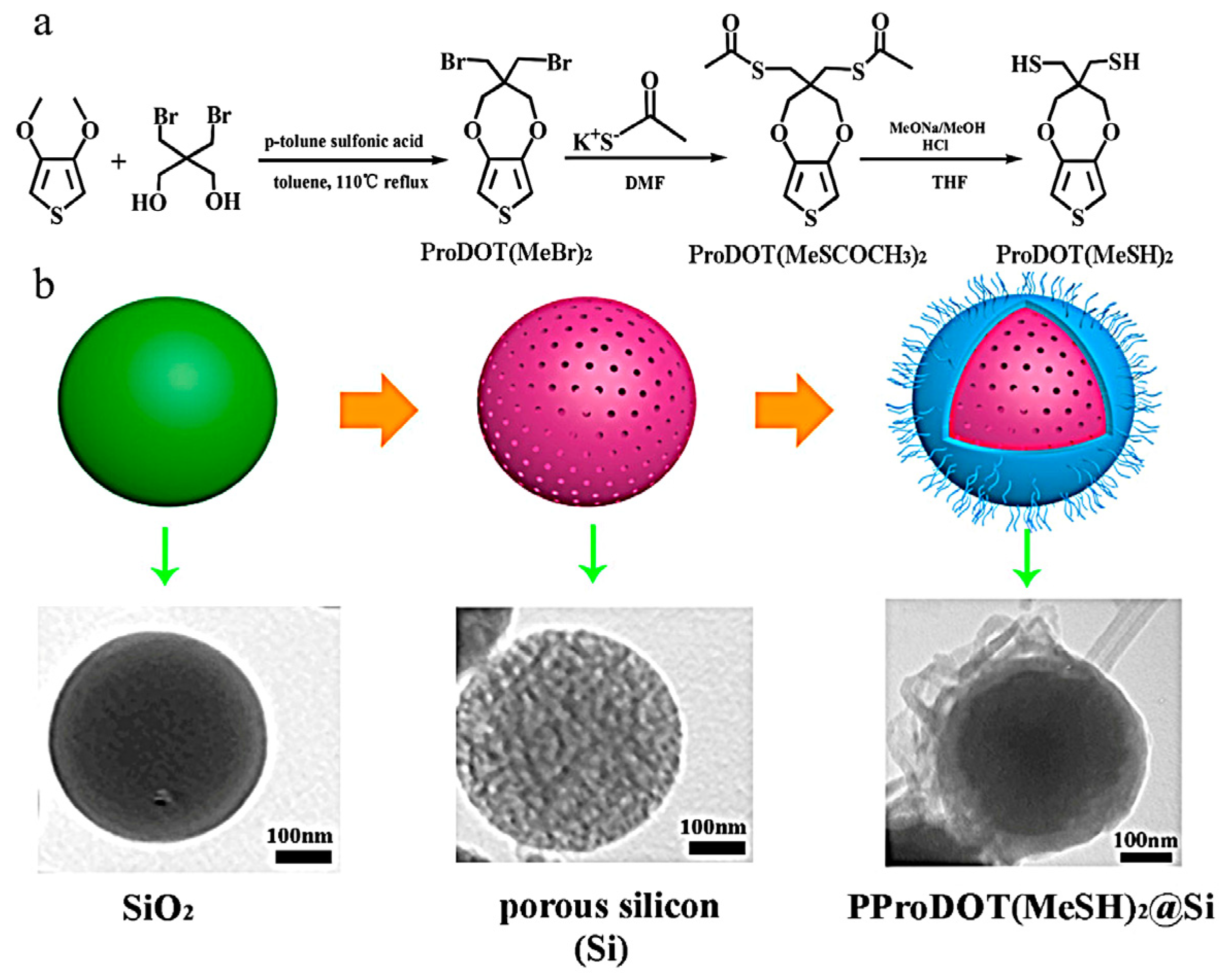 Polymers 16 01597 g015