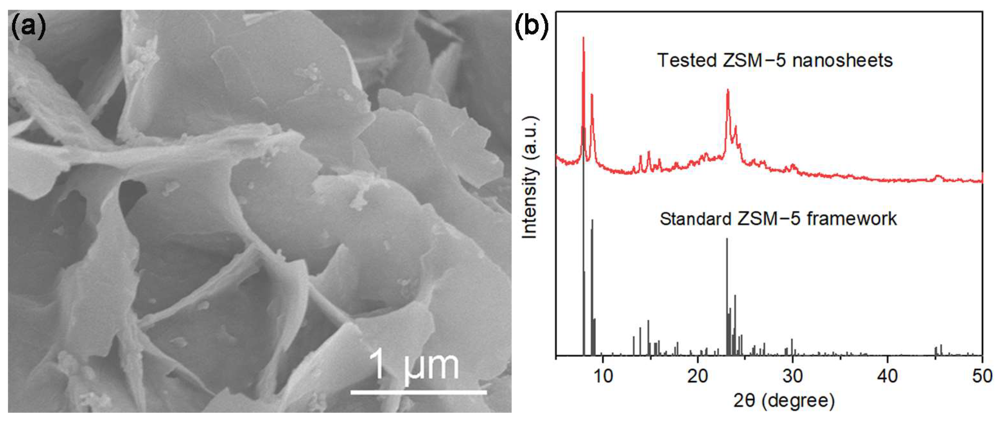Polymers 16 01604 g002