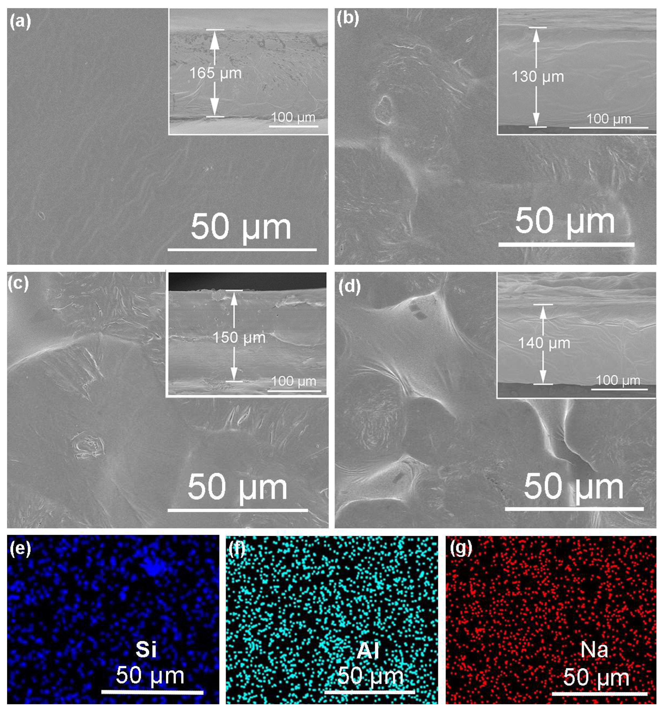 Polymers 16 01604 g004