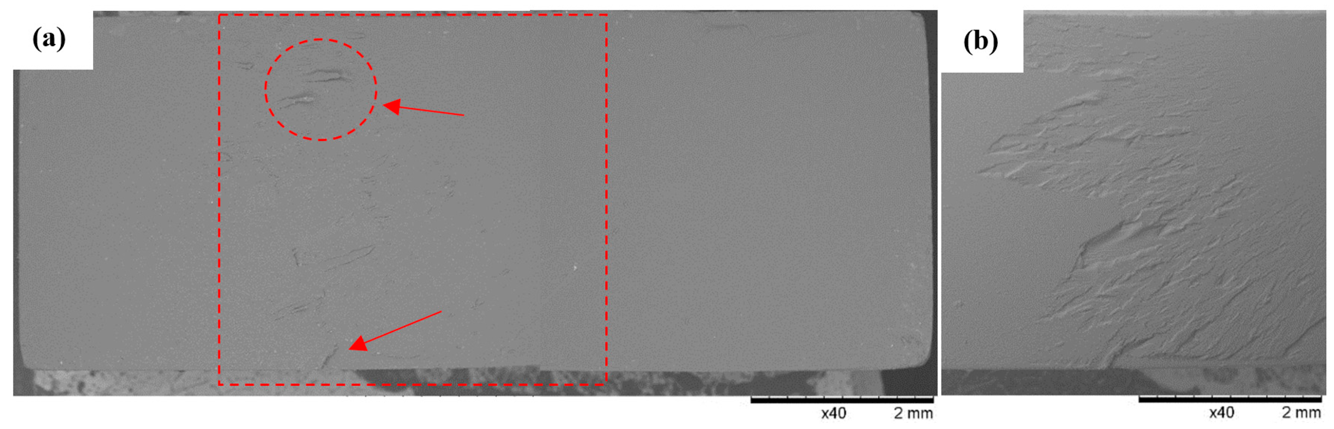 Polymers 16 01607 g015
