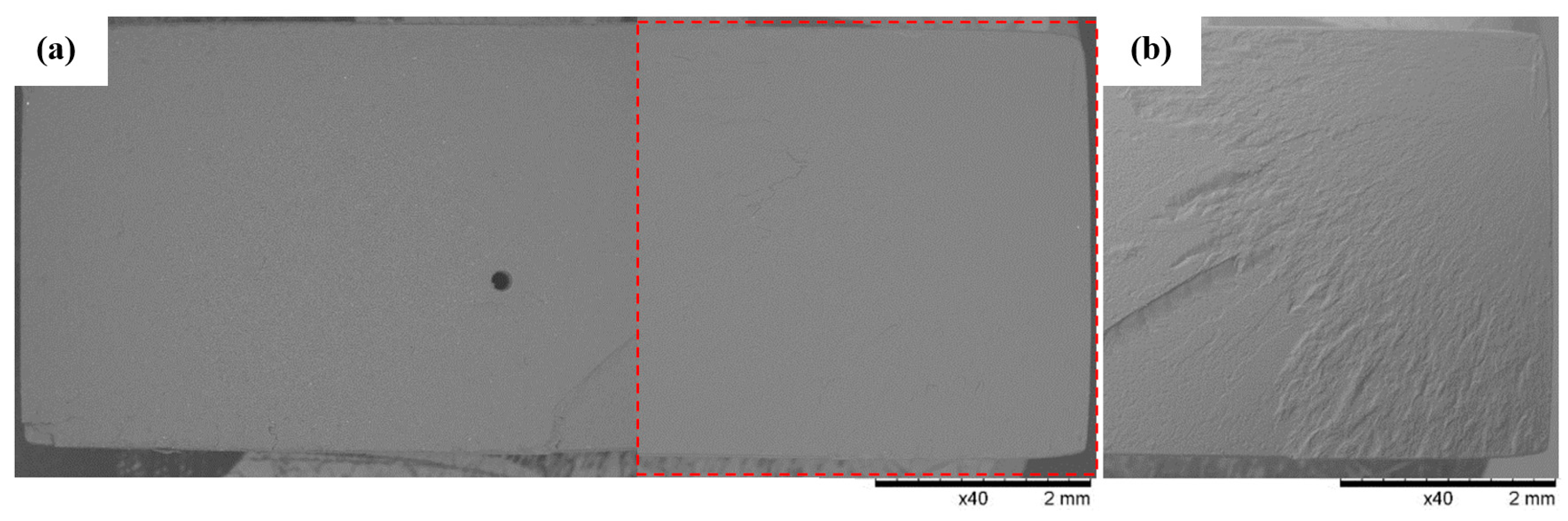 Polymers 16 01607 g016