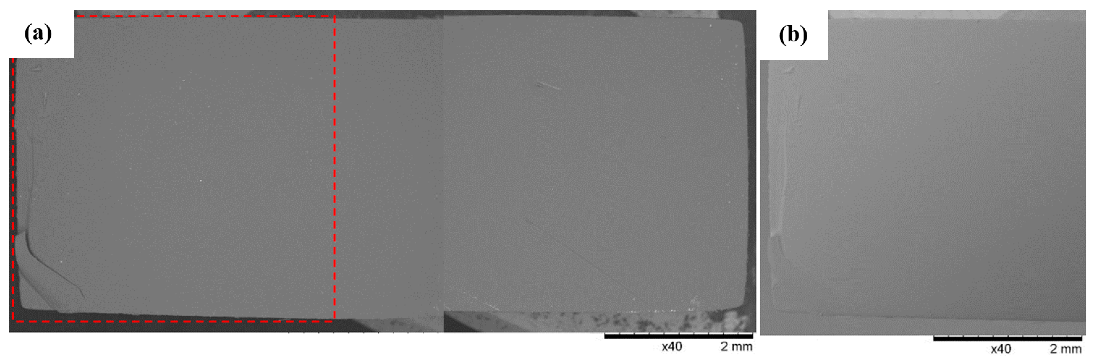 Polymers 16 01607 g017