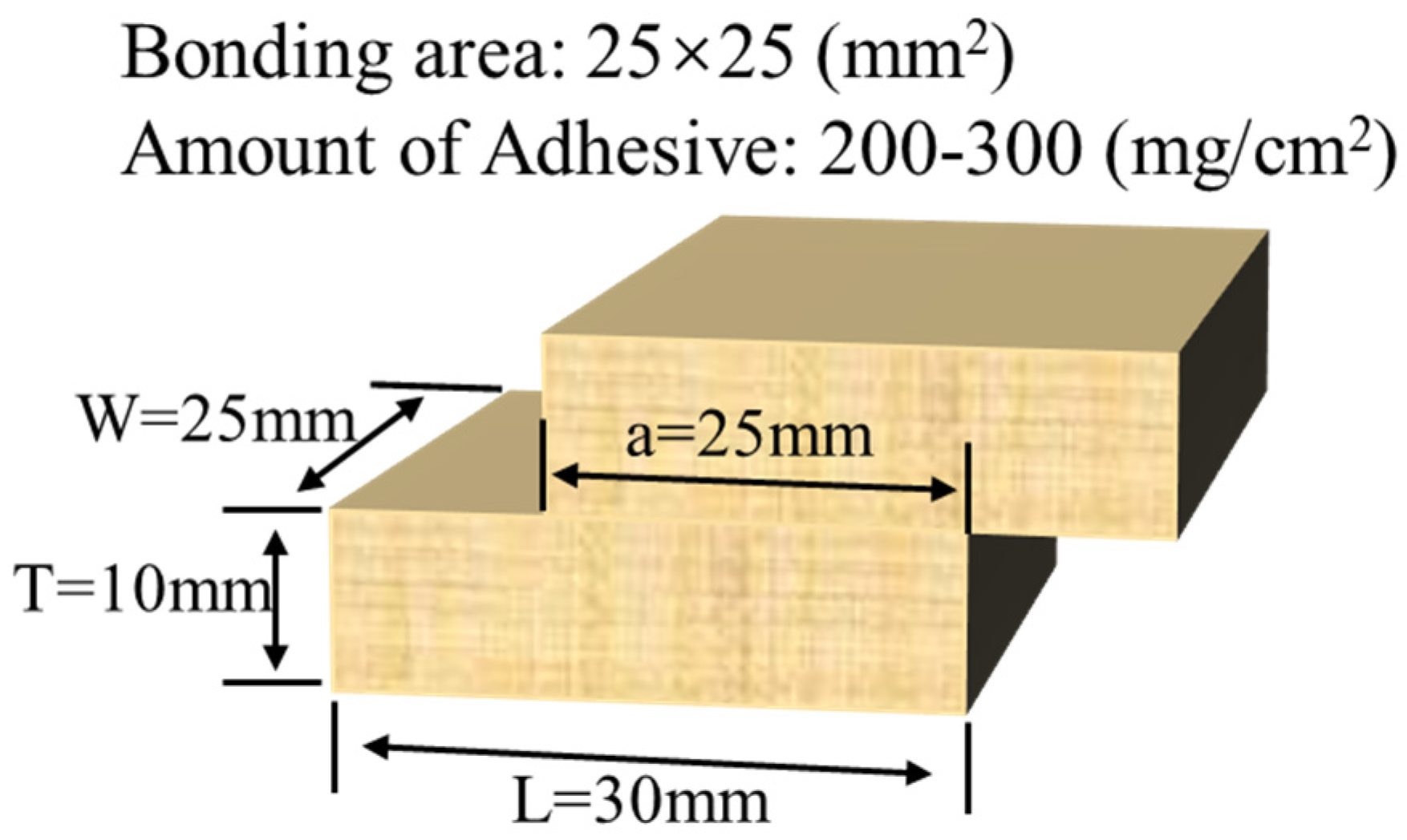 Polymers 16 01609 g001
