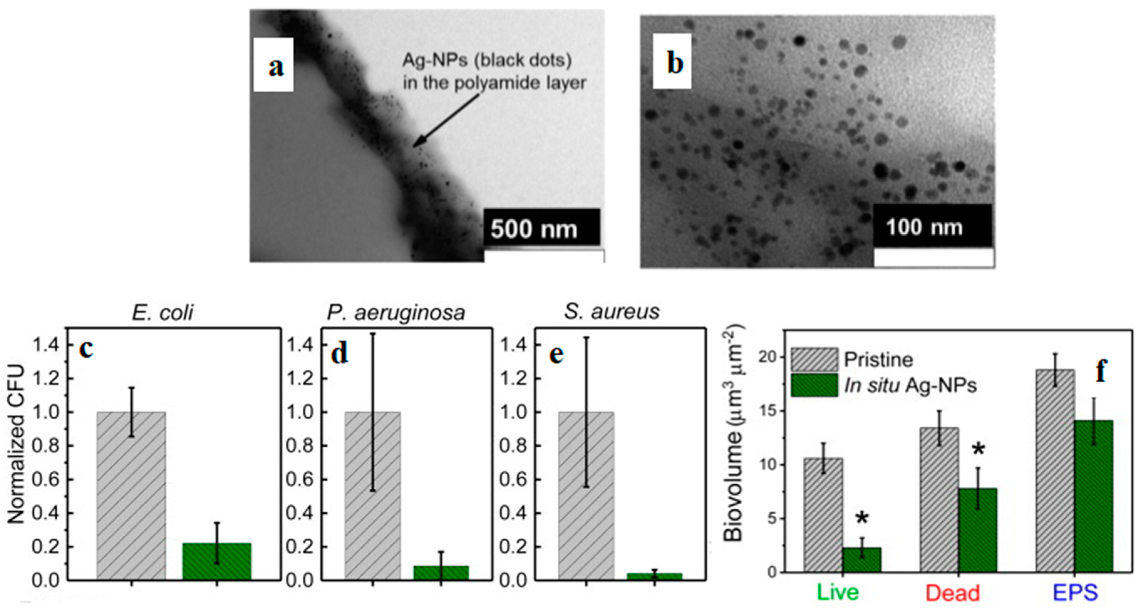 Polymers 16 01611 g005