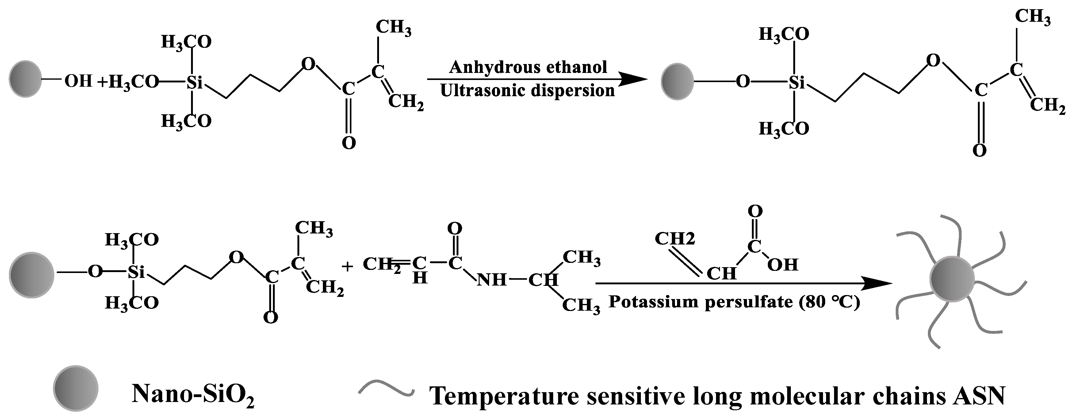 Polymers 16 01614 g001