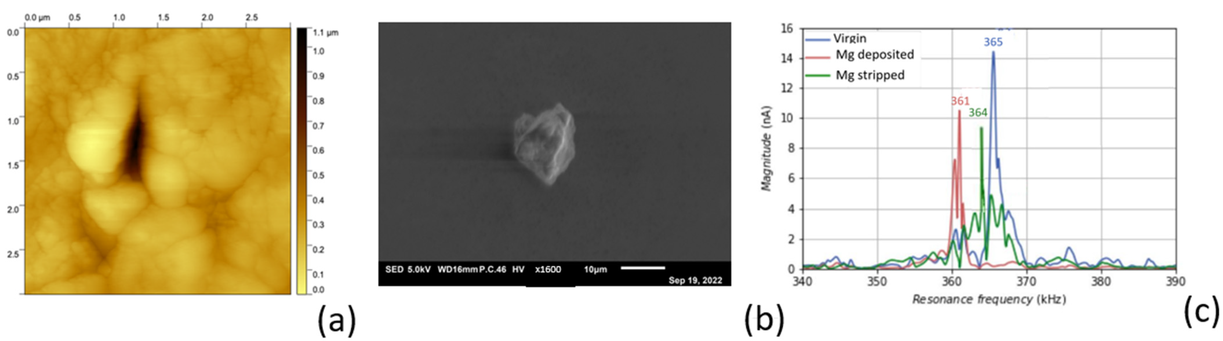 Polymers 16 01615 g008