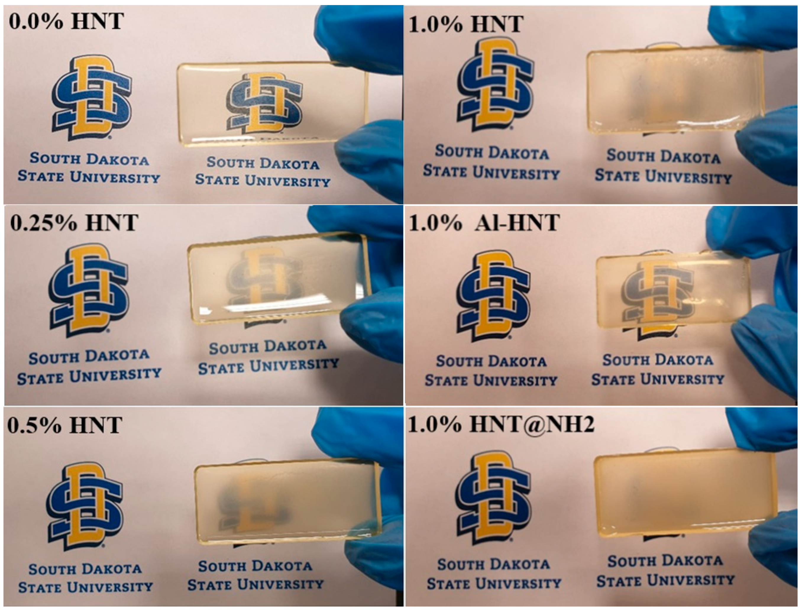 Polymers 16 01616 g003