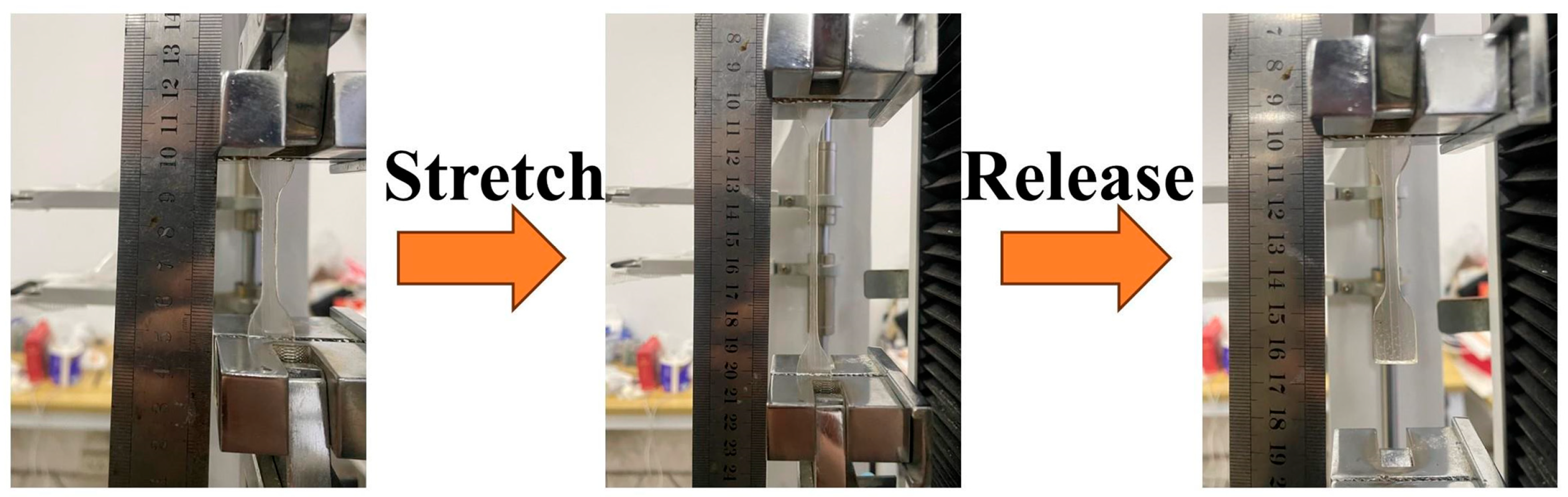 Polymers 16 01617 g003