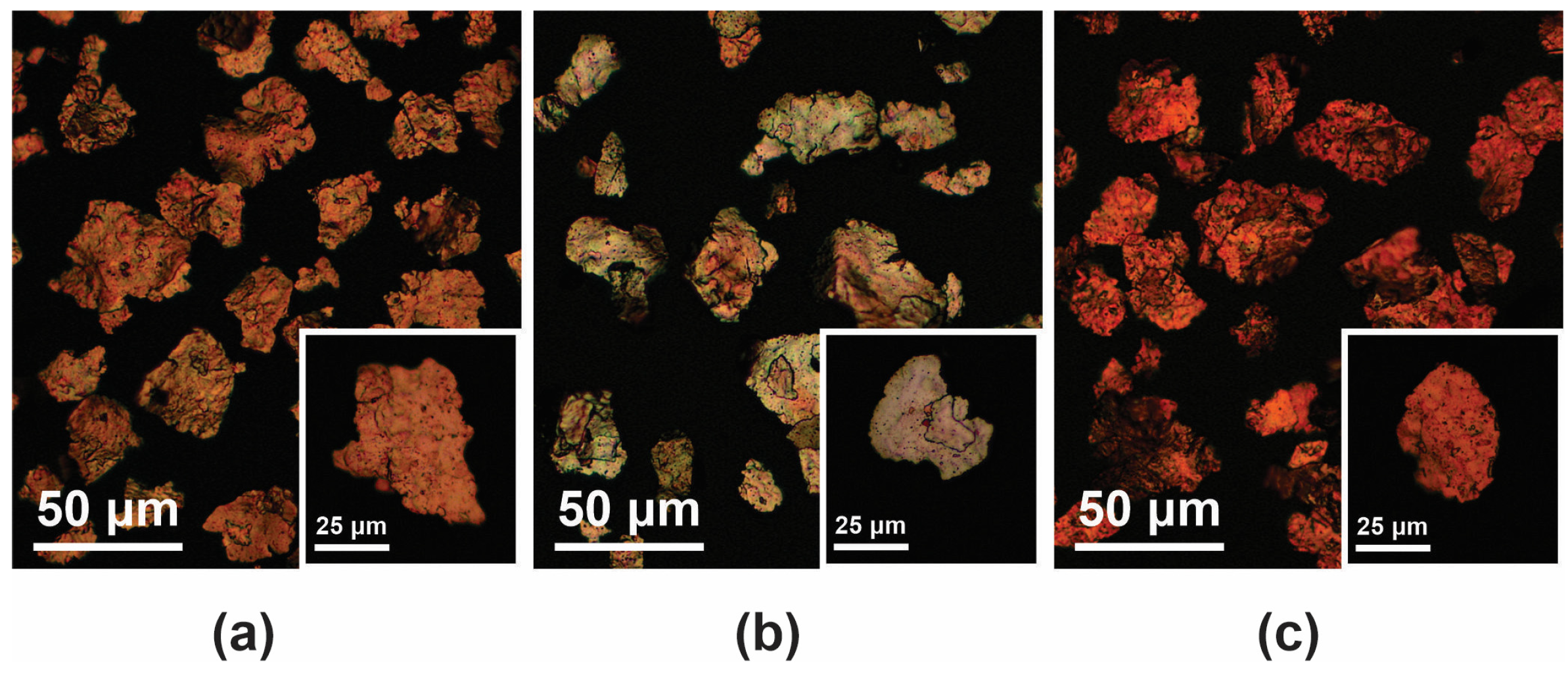 Polymers 16 01620 g001