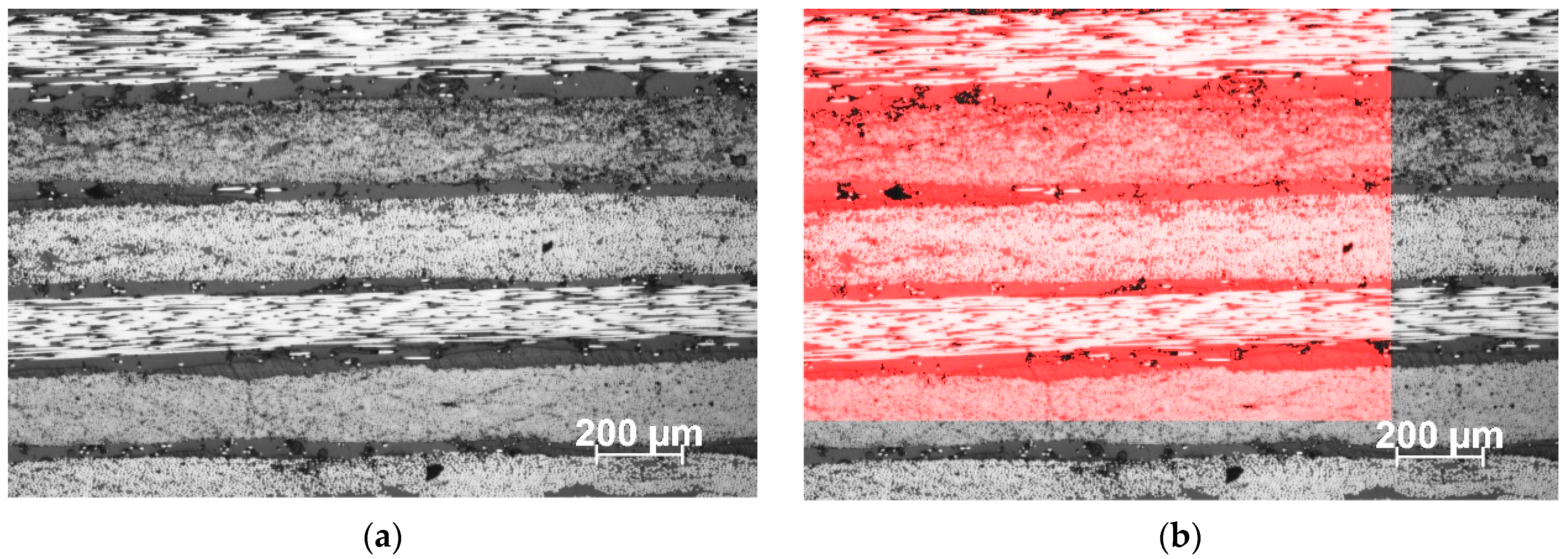 Polymers 16 01625 g008
