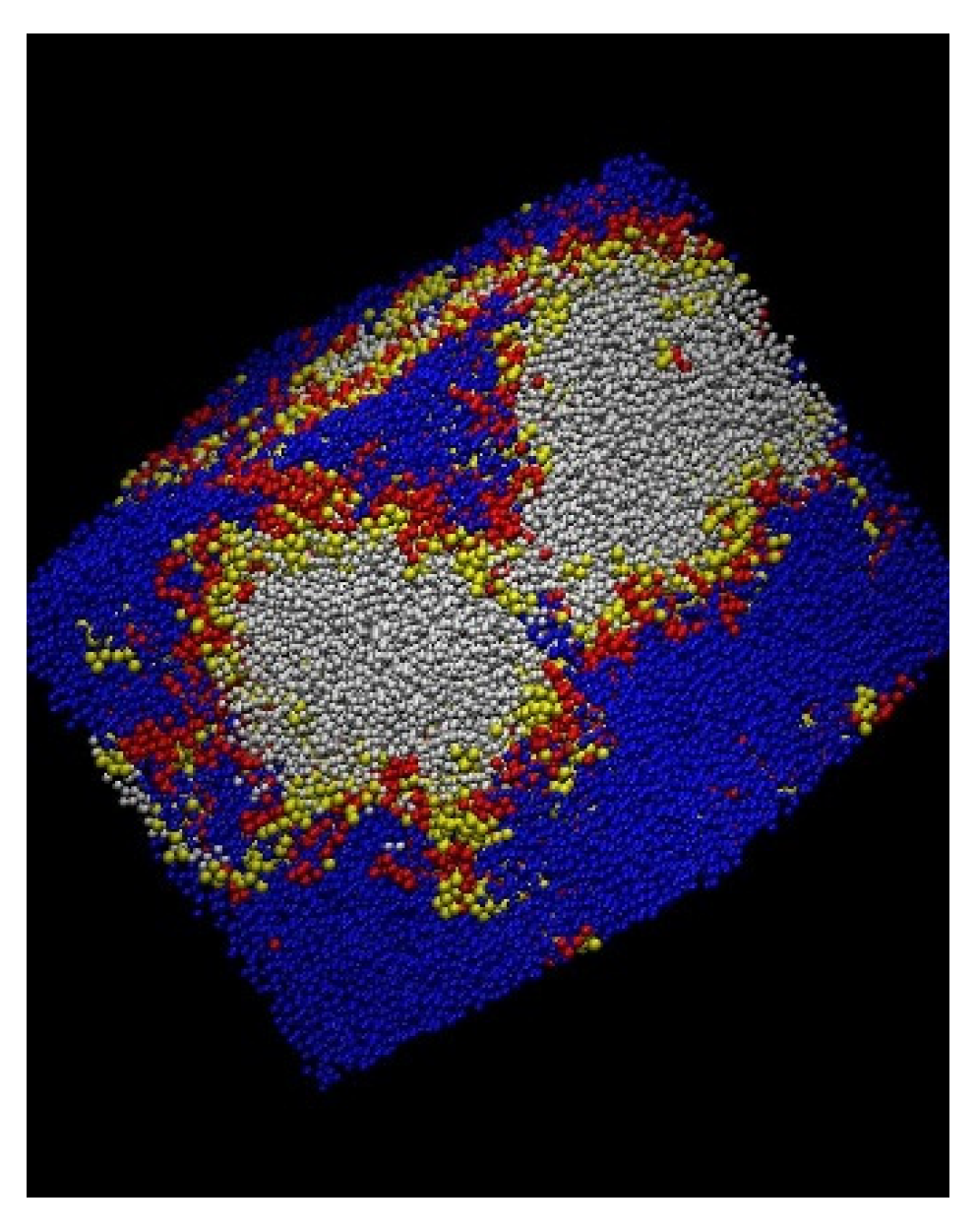 Polymers 16 01626 g011