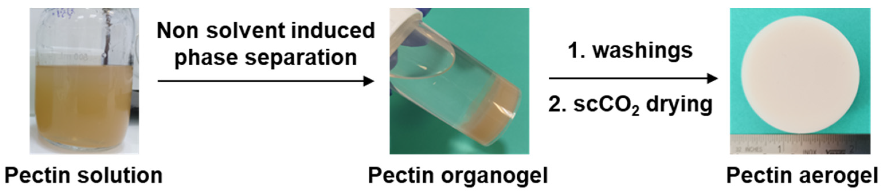 Polymers 16 01628 g001