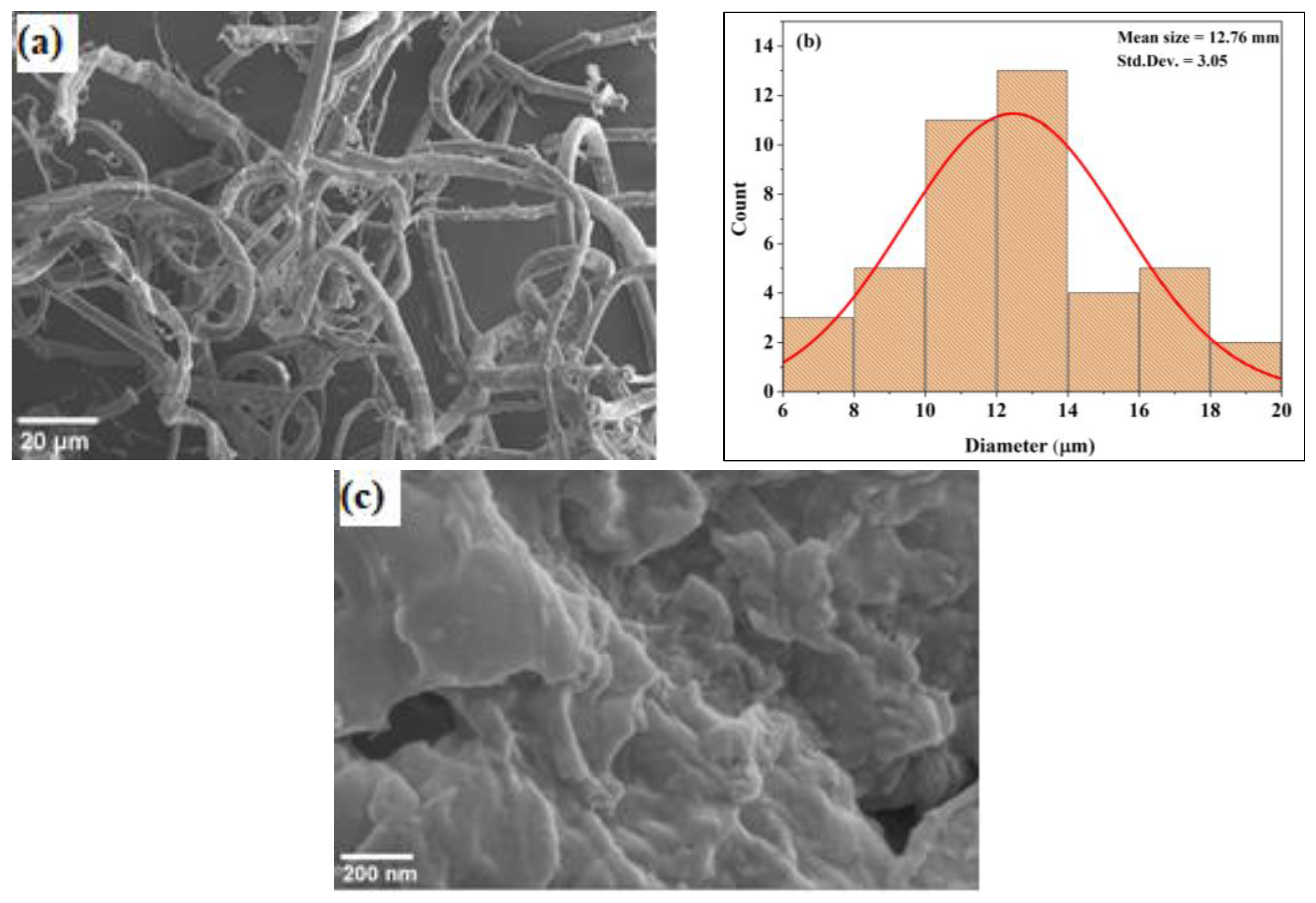 Polymers 16 01629 g002