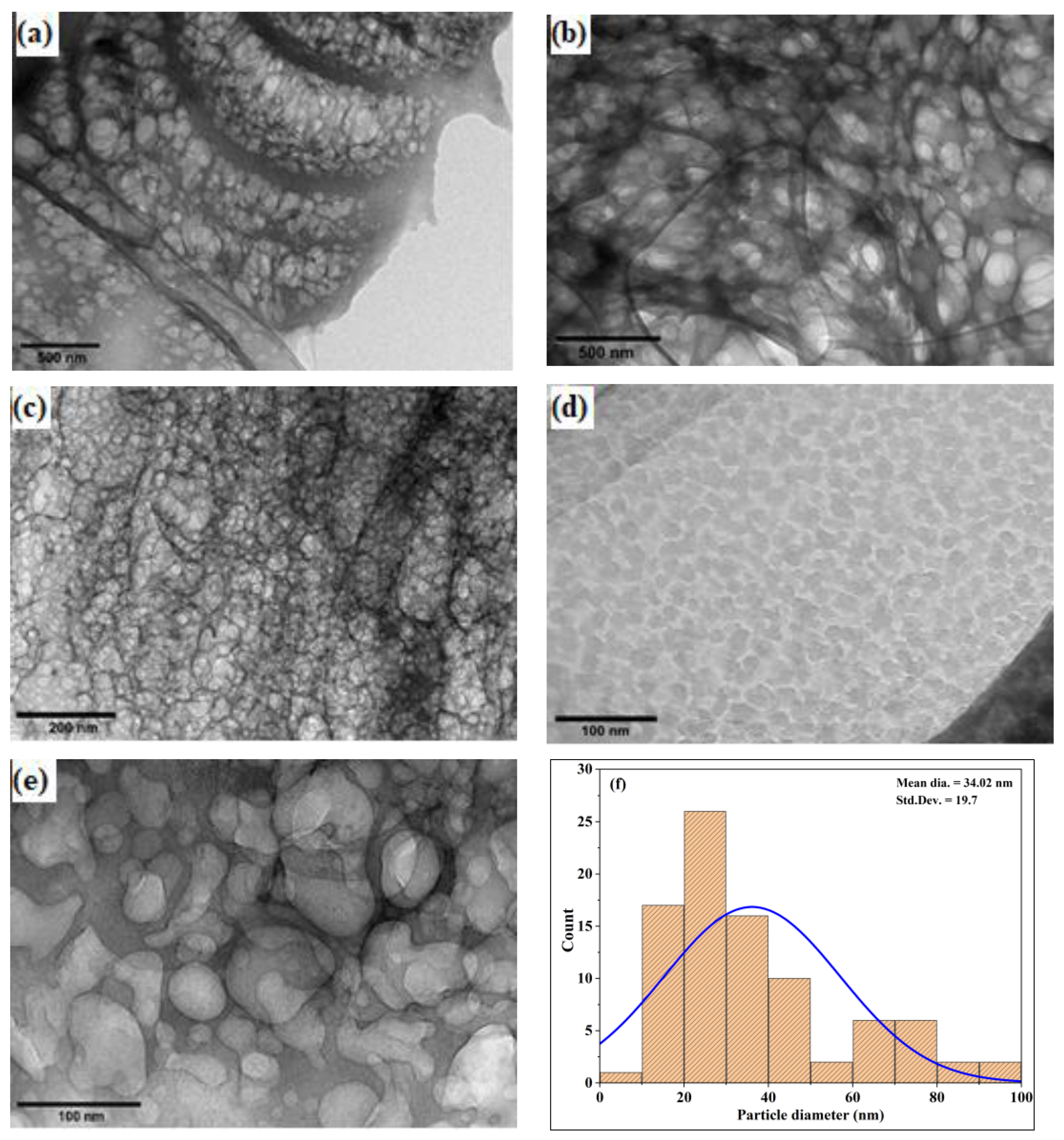 Polymers 16 01629 g003