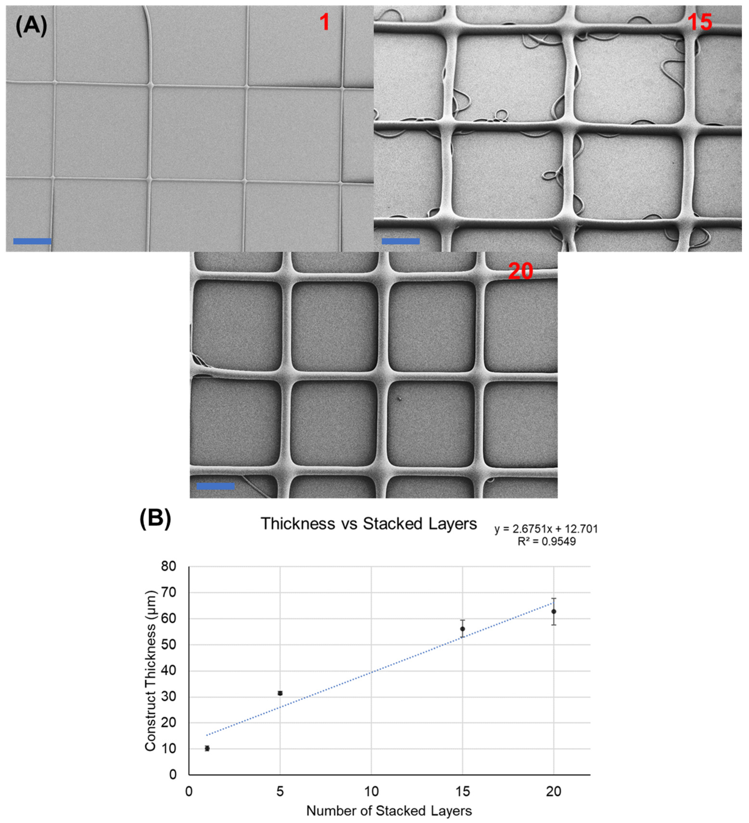 Polymers 16 01630 g004