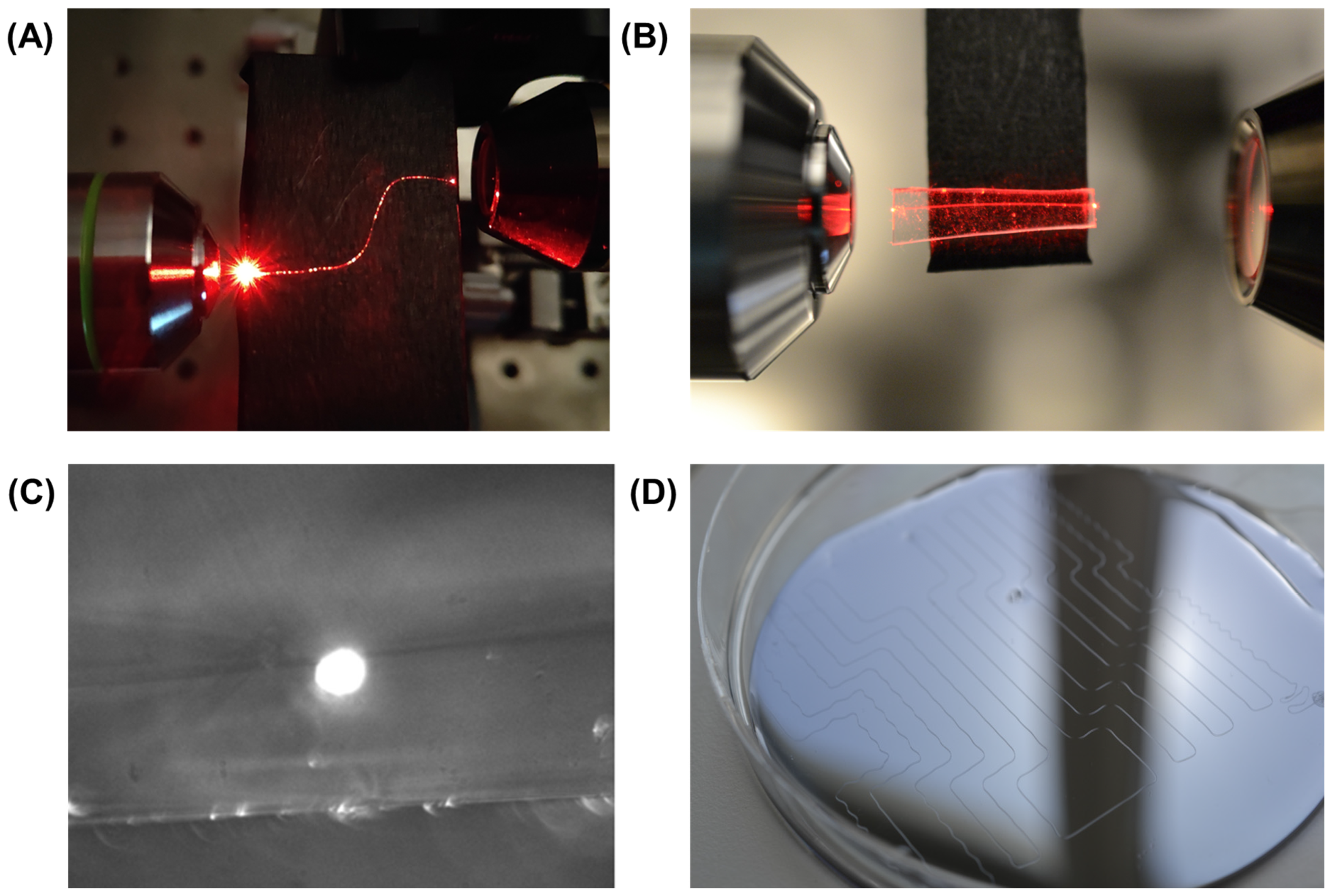 Polymers 16 01630 g005