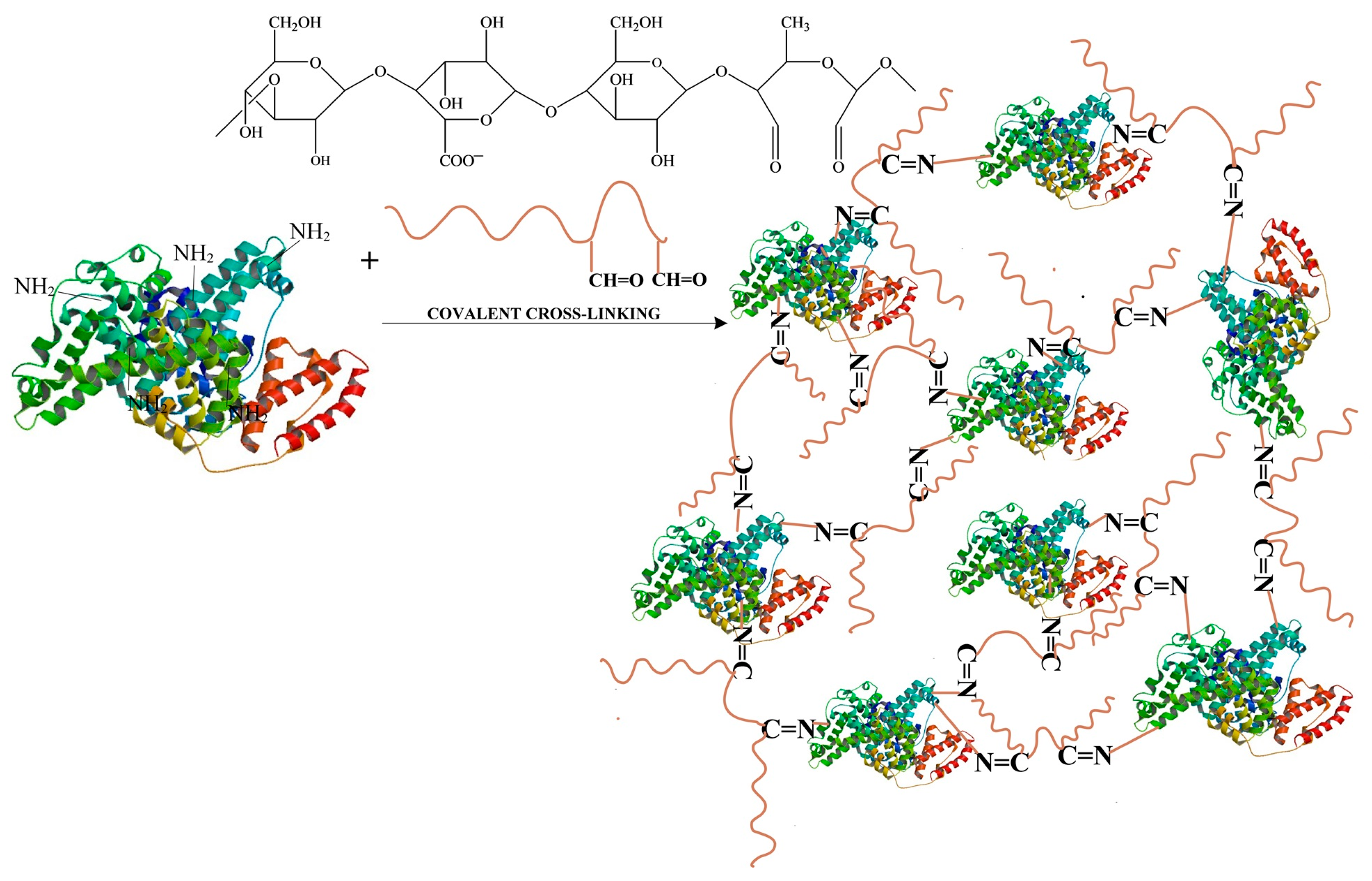 Polymers 16 01631 g004